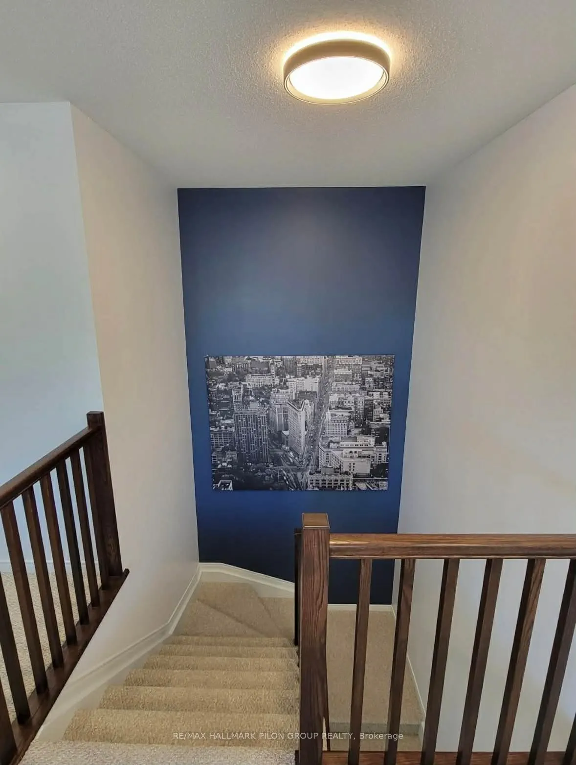 38 Riddell Street
