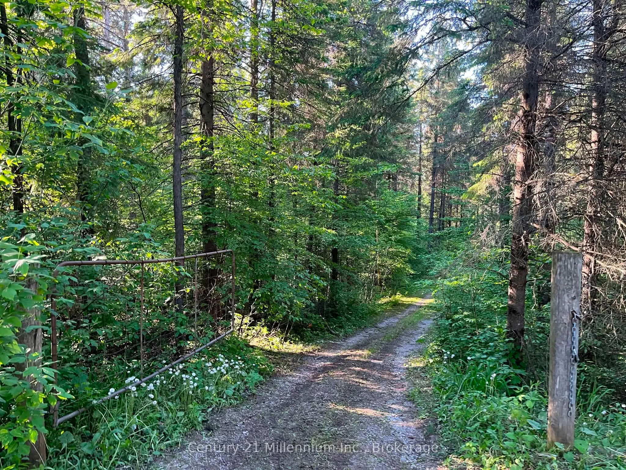 627383 15 Side Road