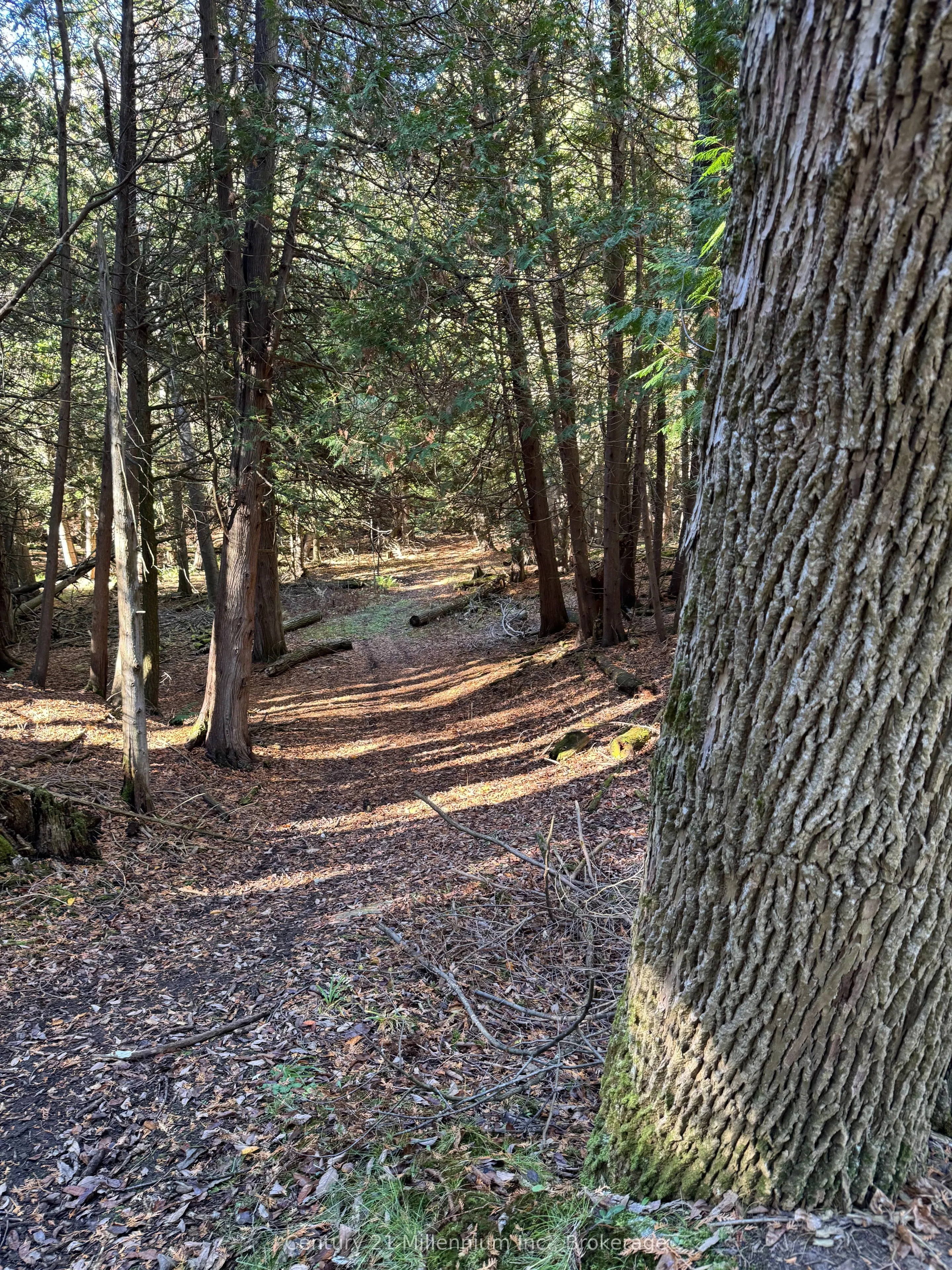 627383 15 Side Road
