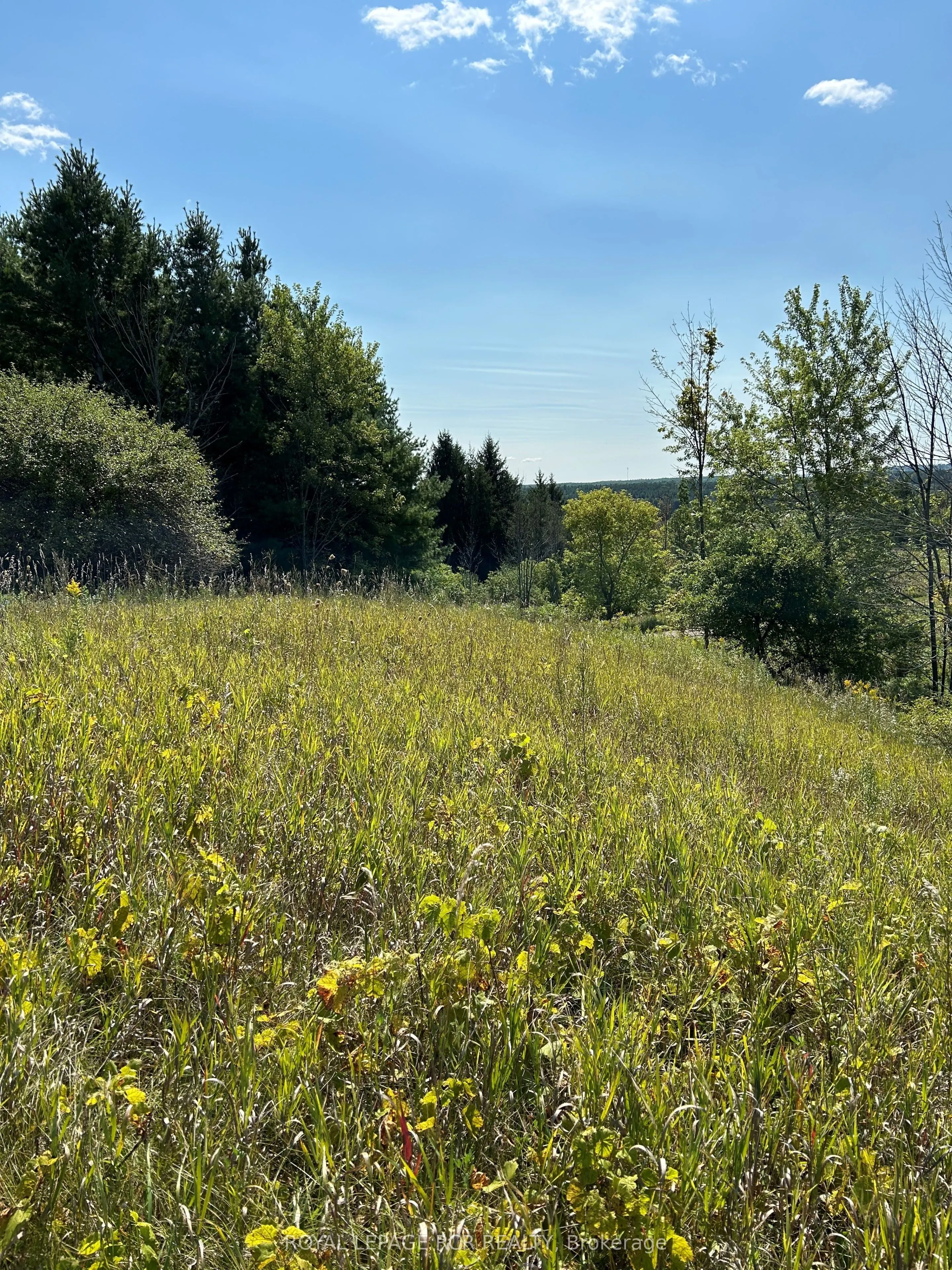 Lot 29 5th Line E