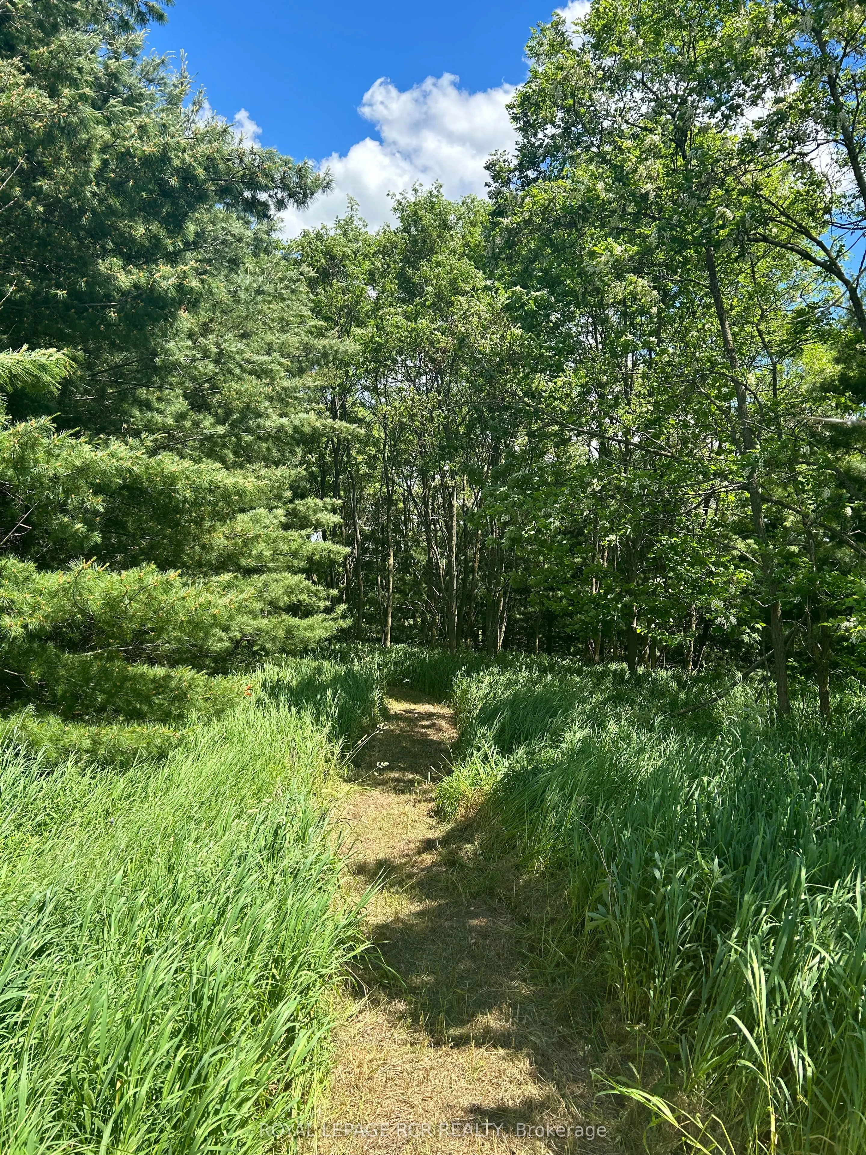 Lot 29 5th Line E