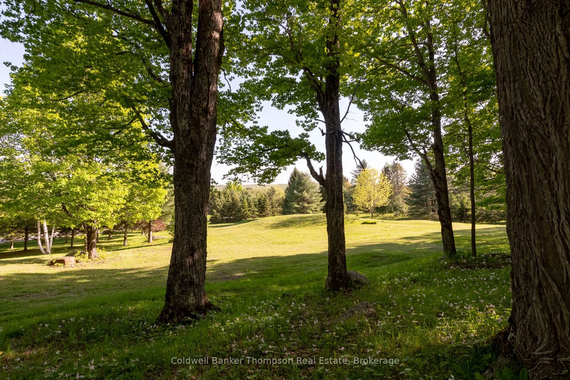 1259 Golf Course Road