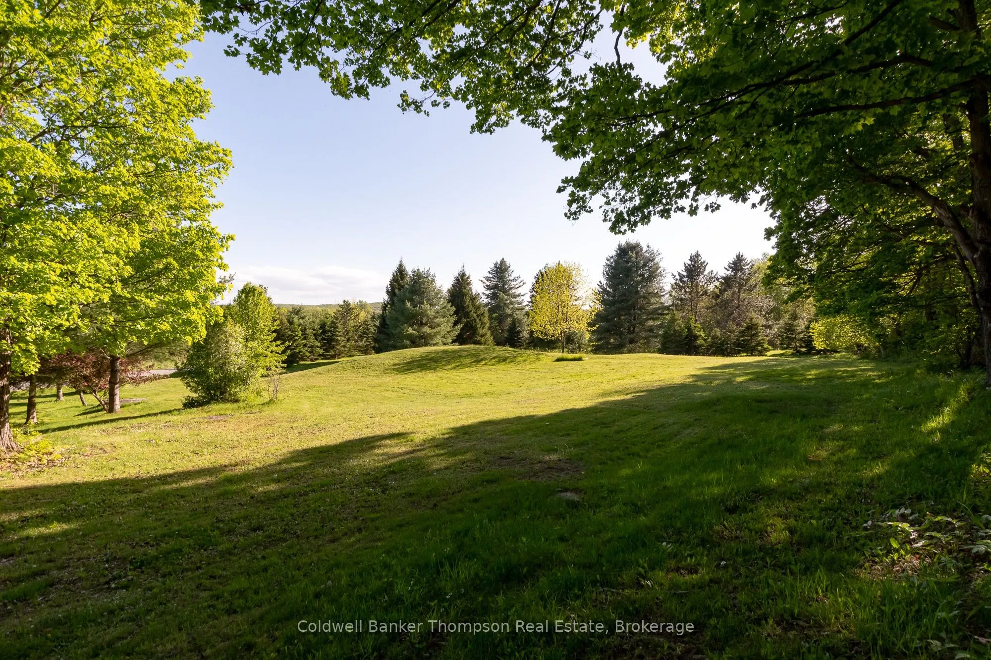 1259 Golf Course Road