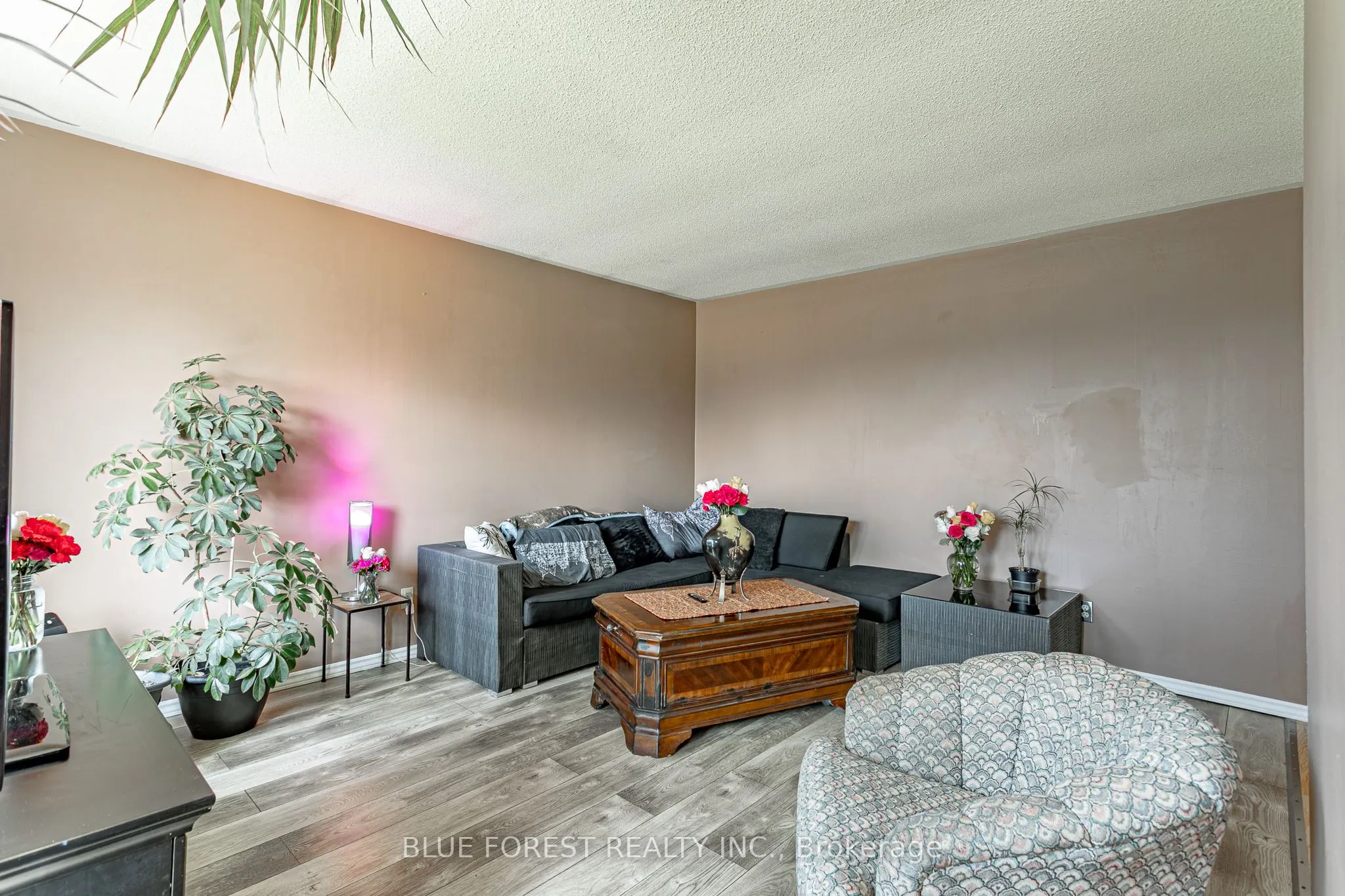 7 Raven Avenue