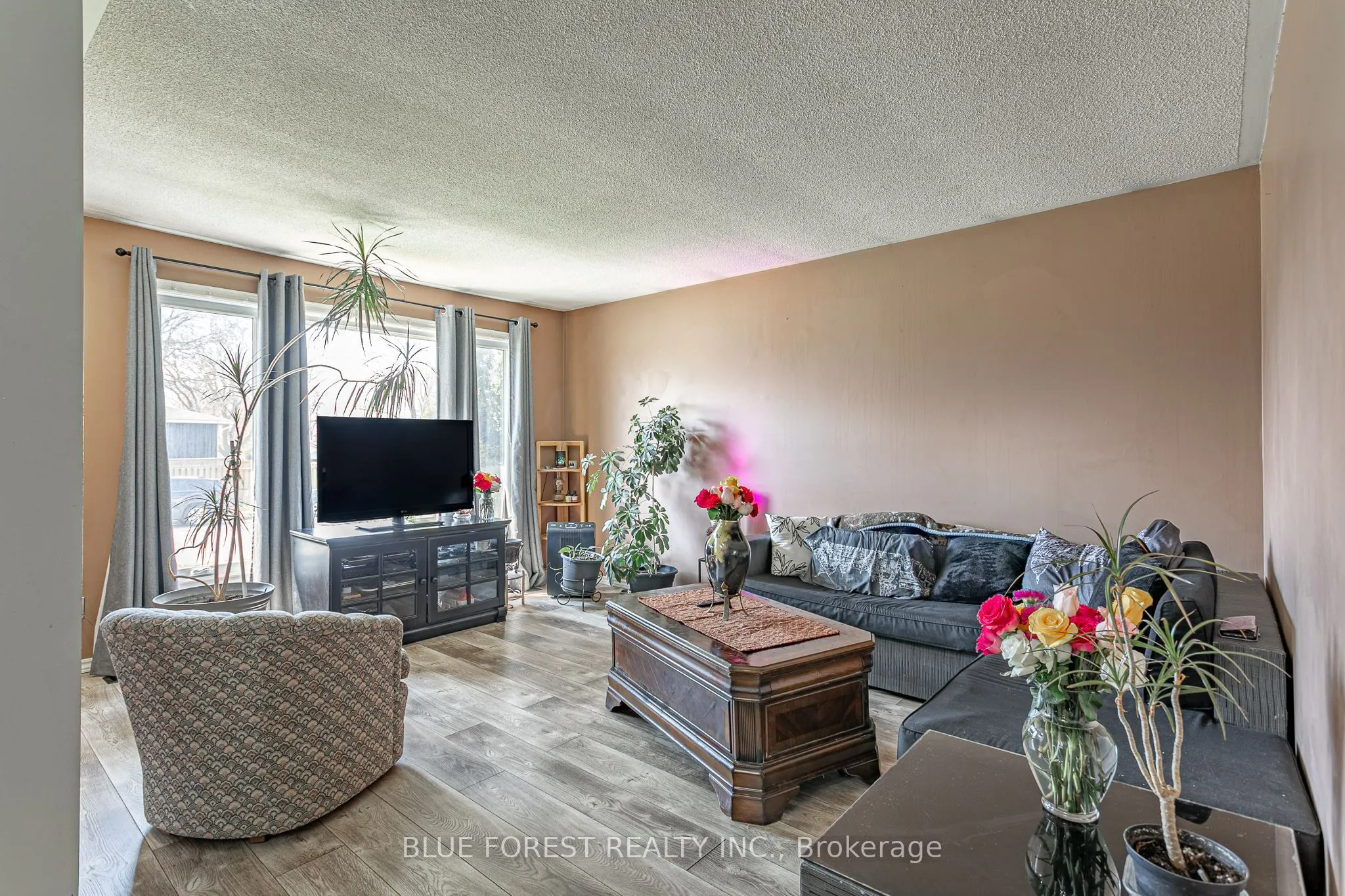 7 Raven Avenue