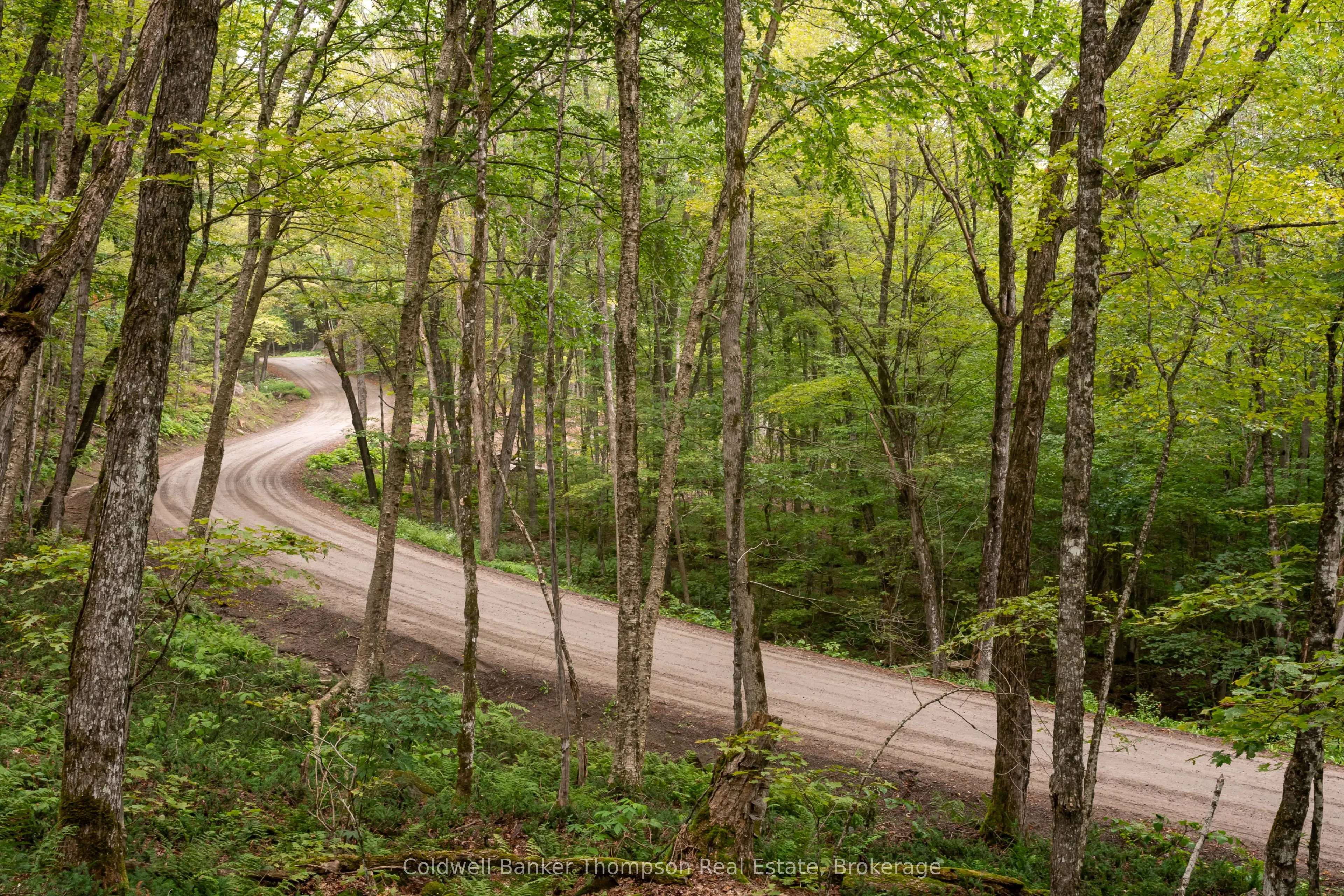 Lot 4 Emsdale Lake Road
