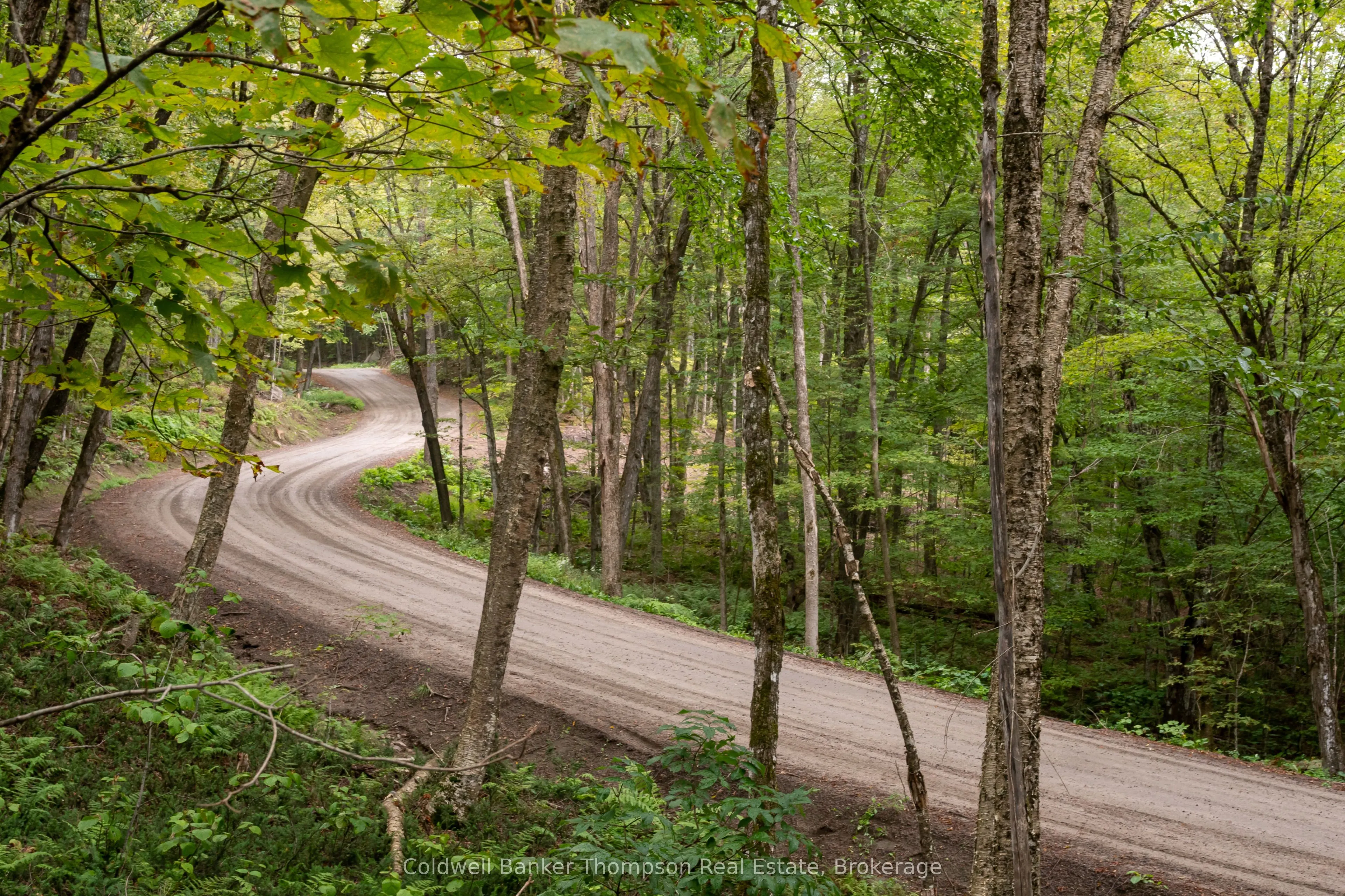 Lot 4 Emsdale Lake Road