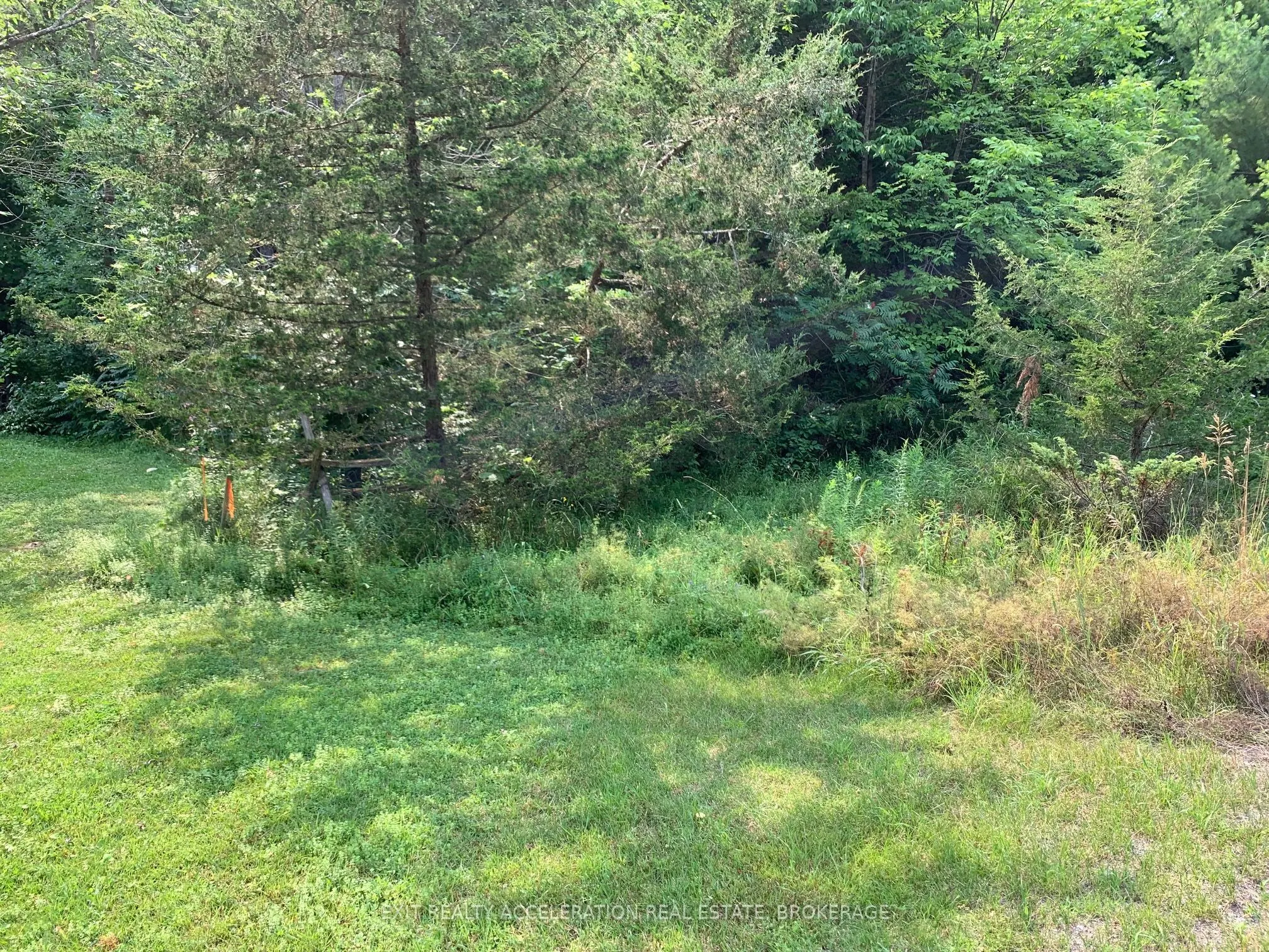 00 Con11 Pine Grove Road