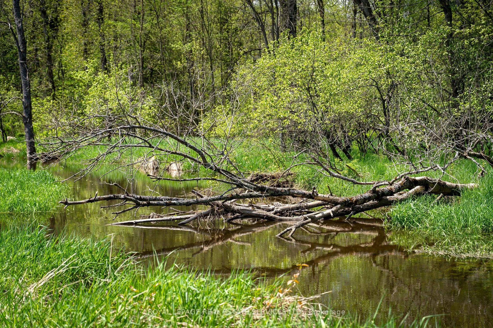 Pt Lot 13 Concession 7 Concession
