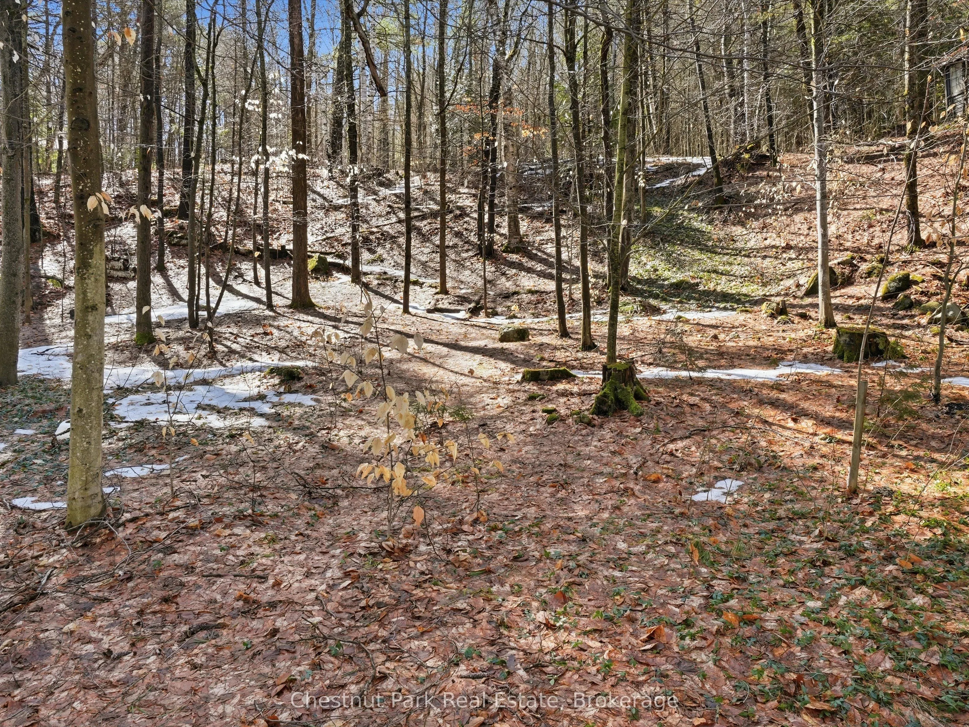 1087 Glenmount Road