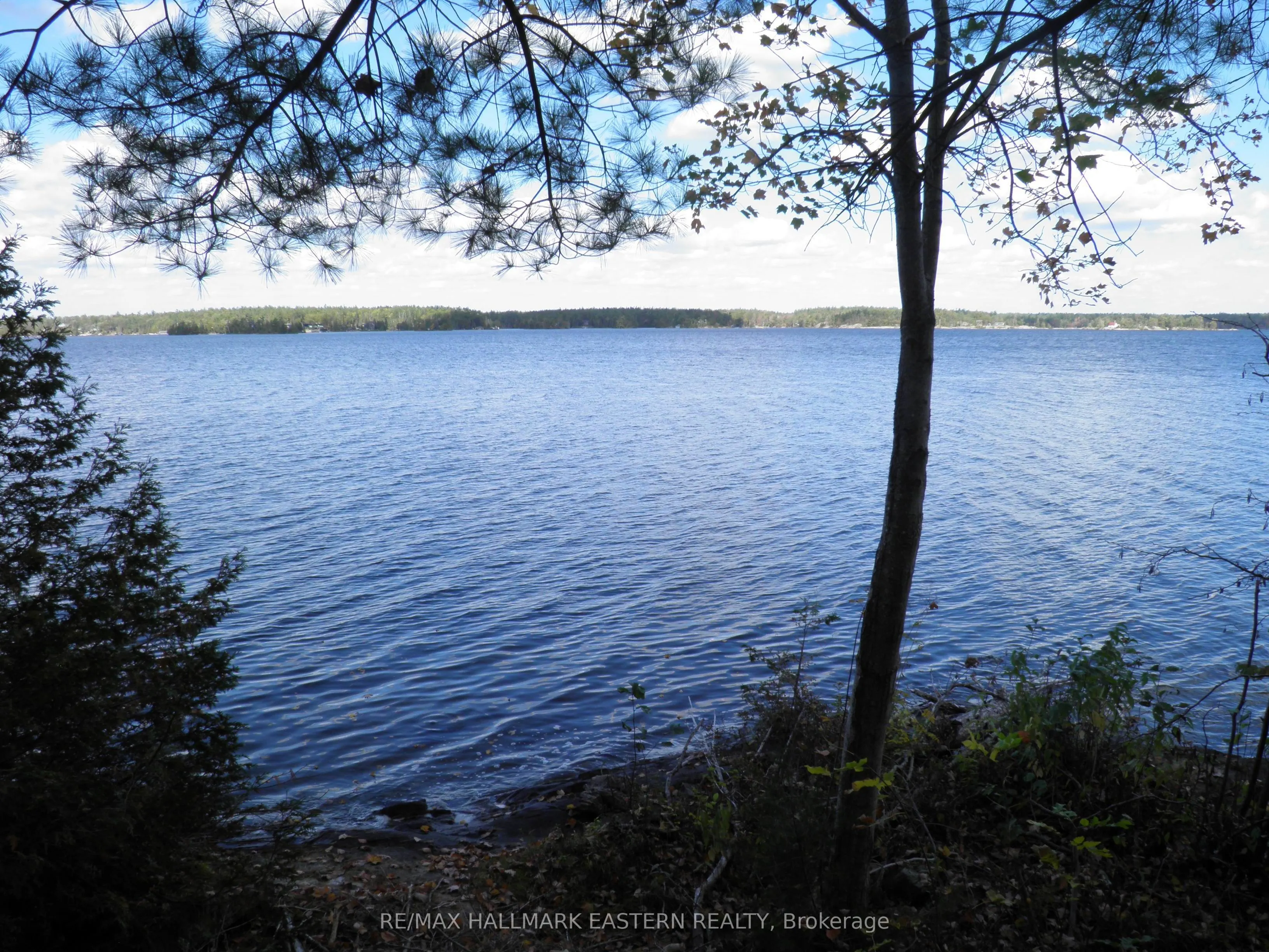1420 Island 76 Stoney Lake
