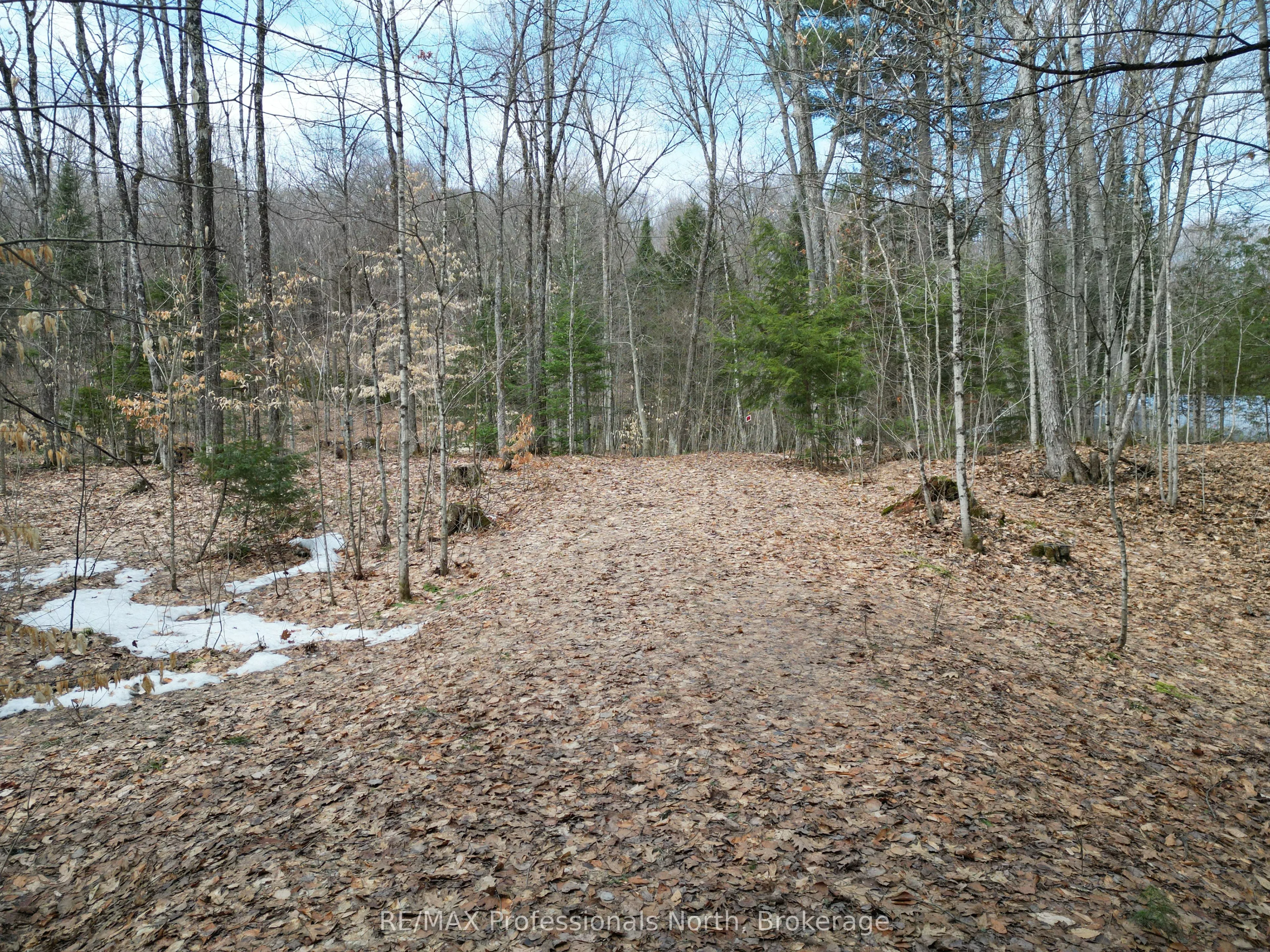 1231 Big Hawk Lake Road