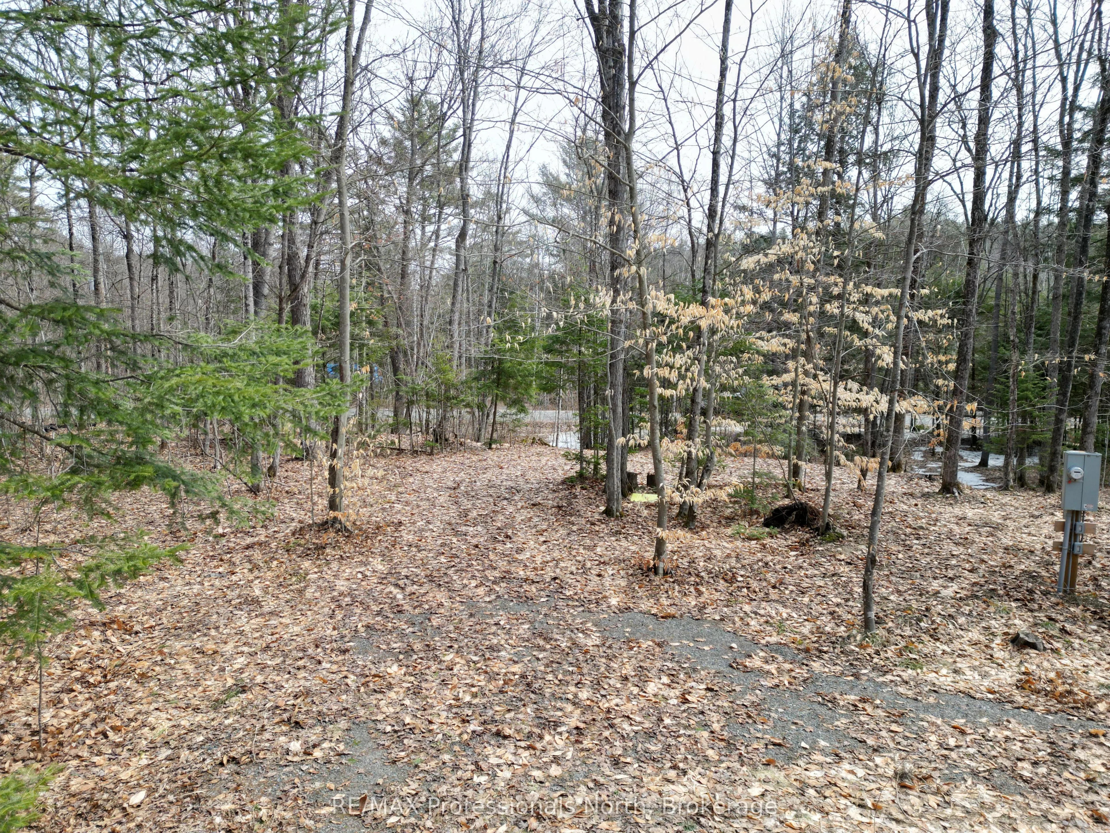 1231 Big Hawk Lake Road