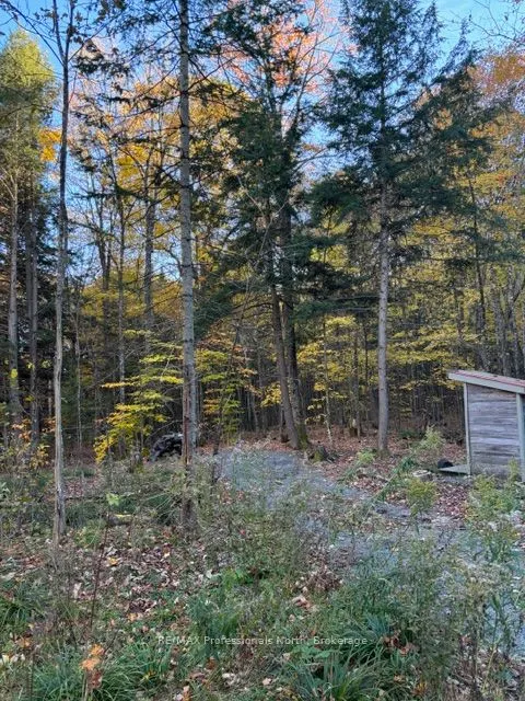 1231 Big Hawk Lake Road