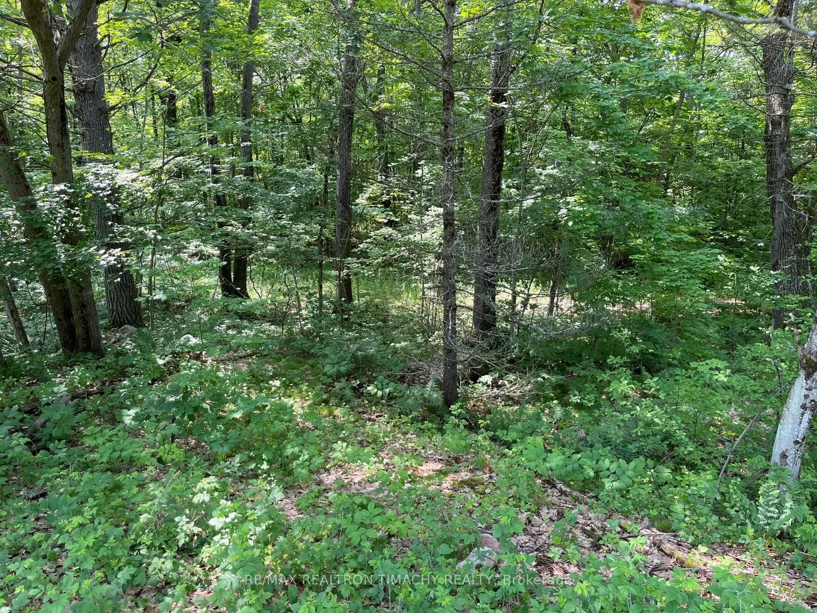 243 PRISQUE Road
