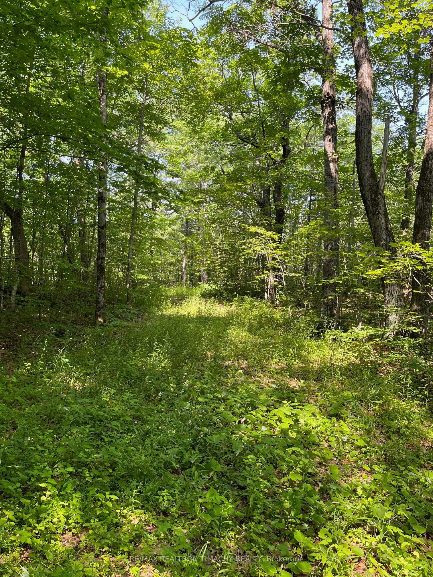 243 PRISQUE Road