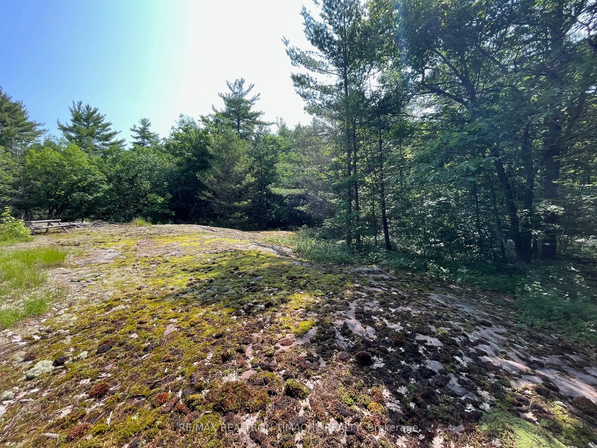 243 PRISQUE Road