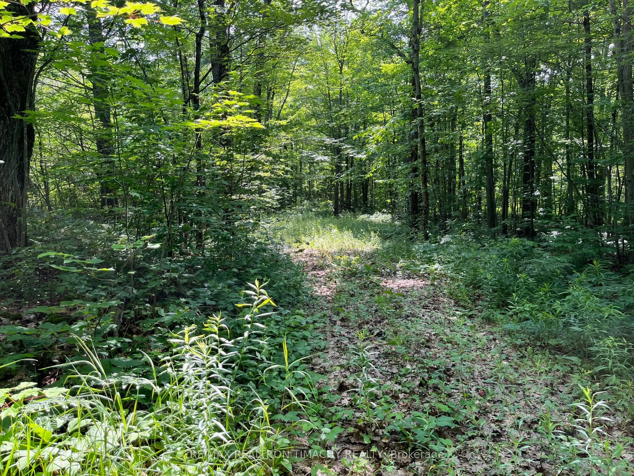 243 PRISQUE Road