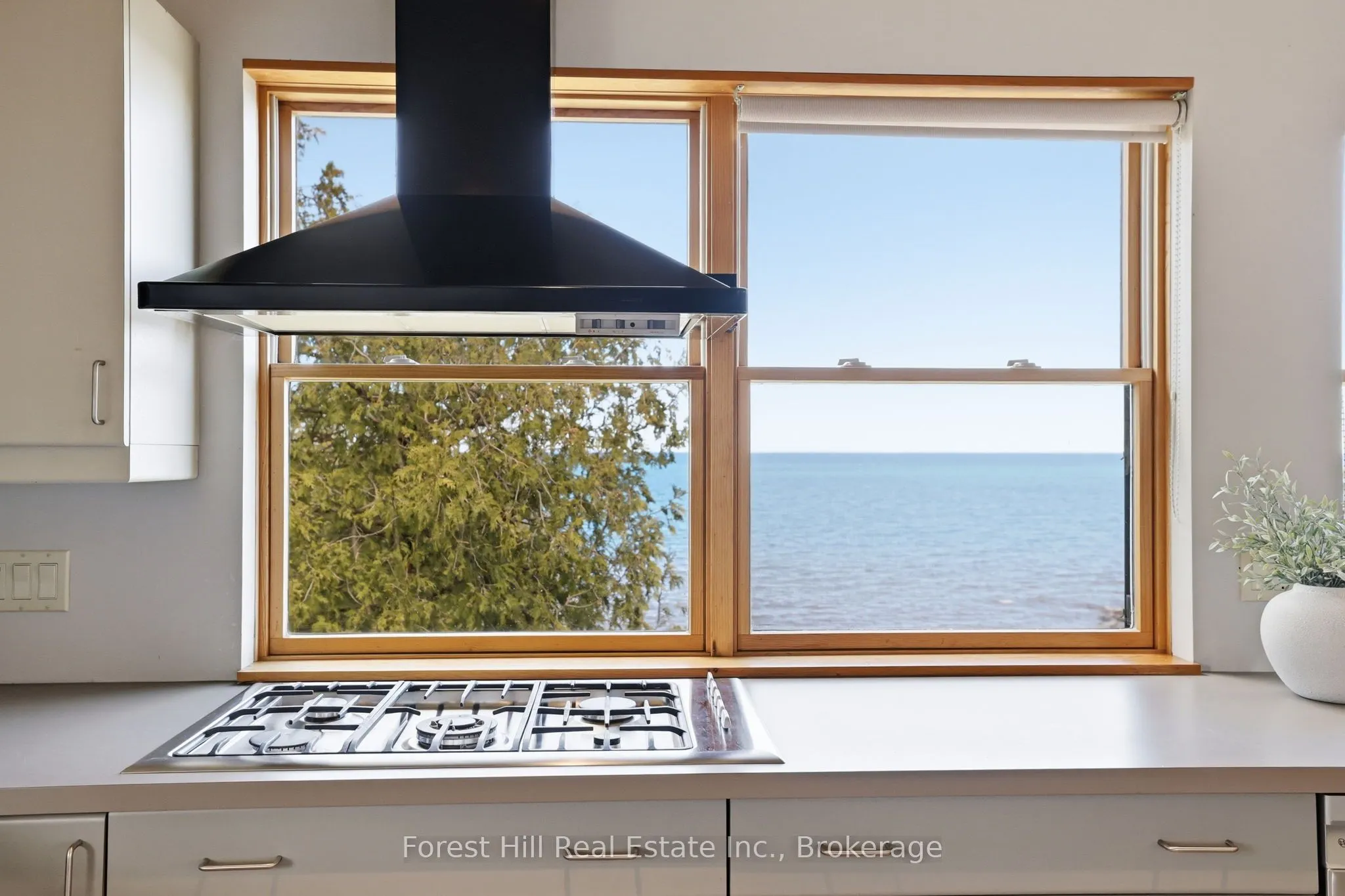 295 Lakeshore Road N