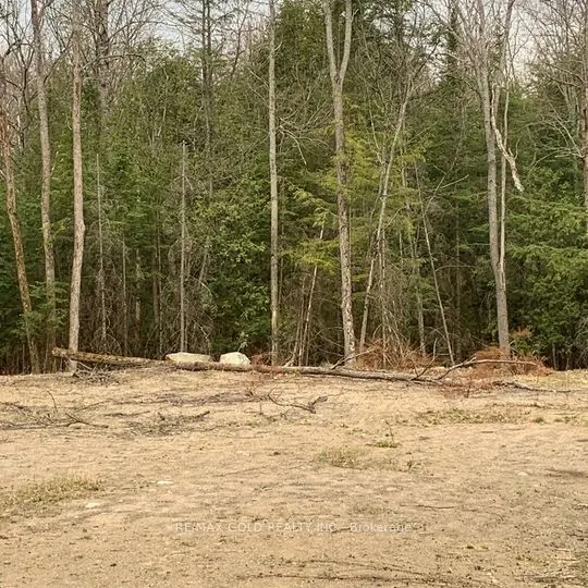 5 Mountain Basin Drive