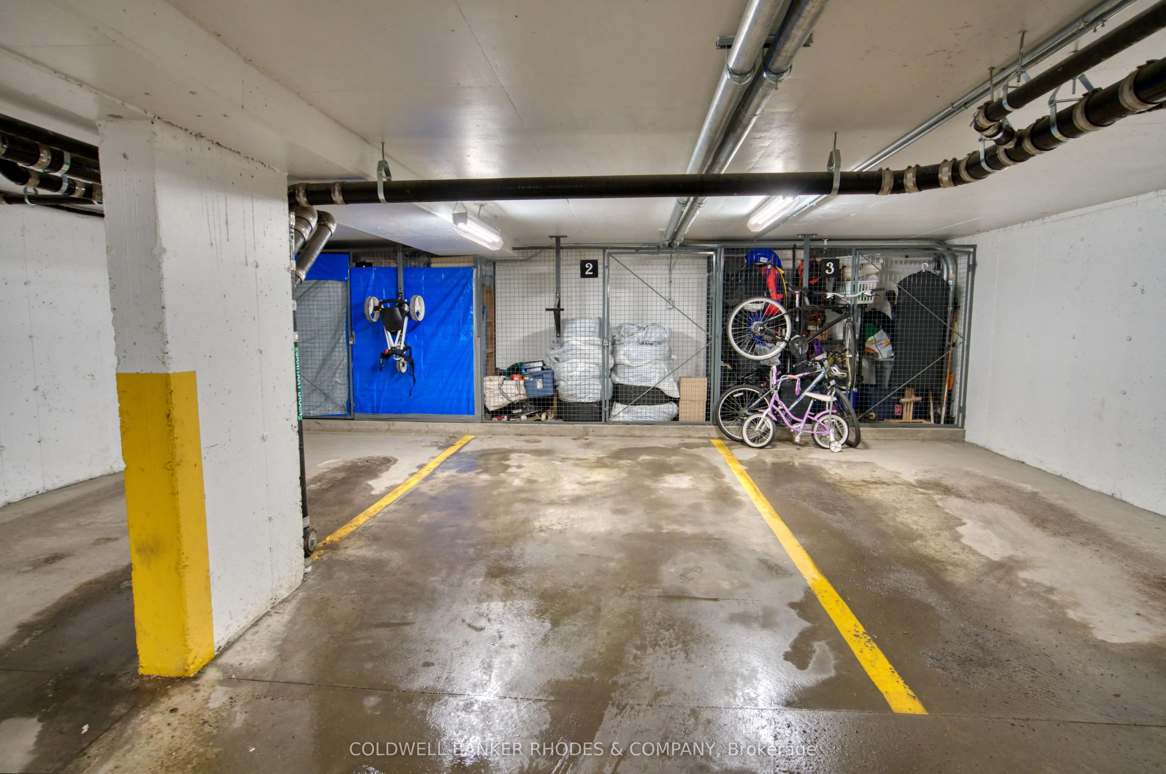 515 Gladstone Avenue #5