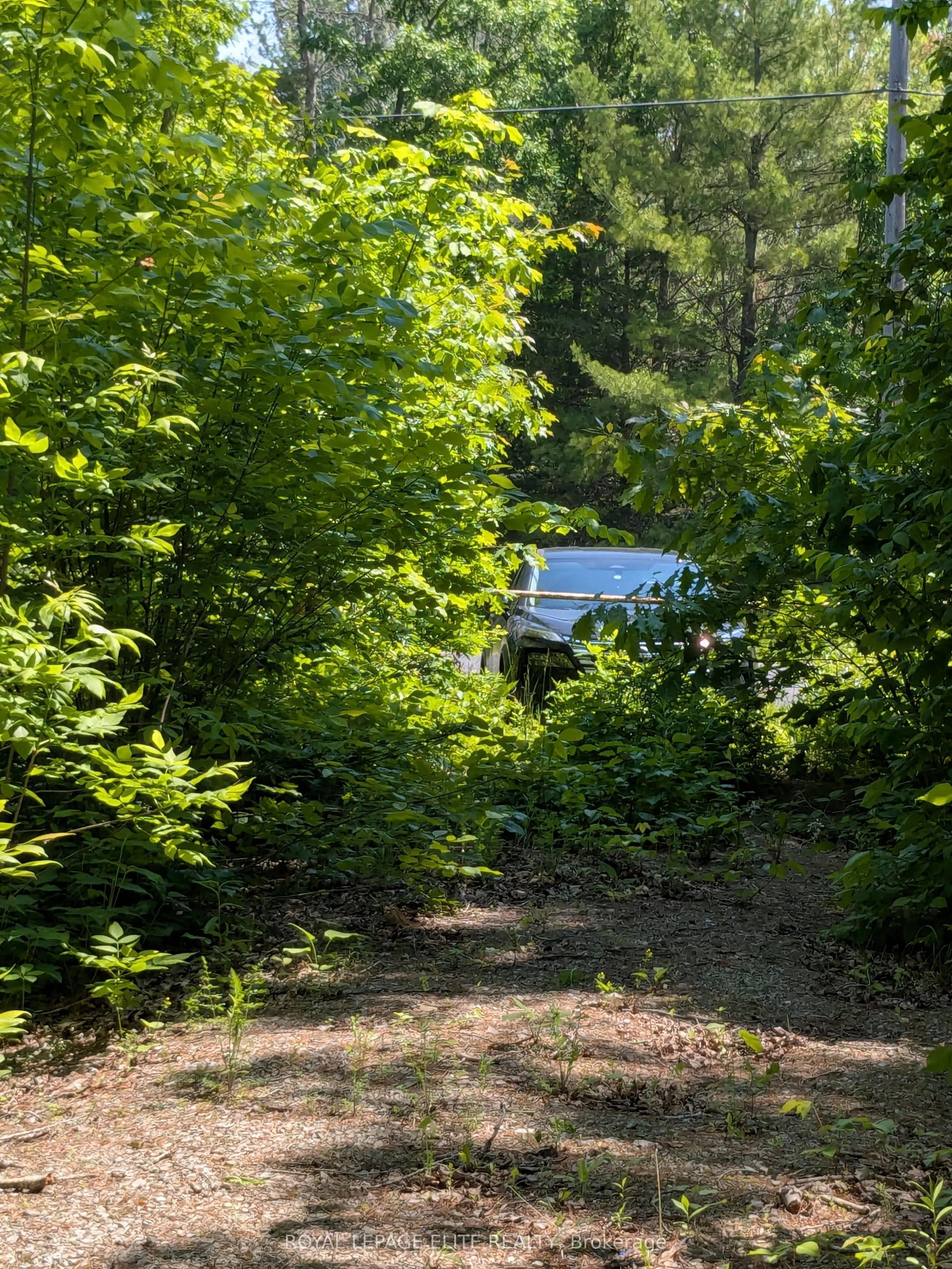 559 HONEY HARBOUR Road