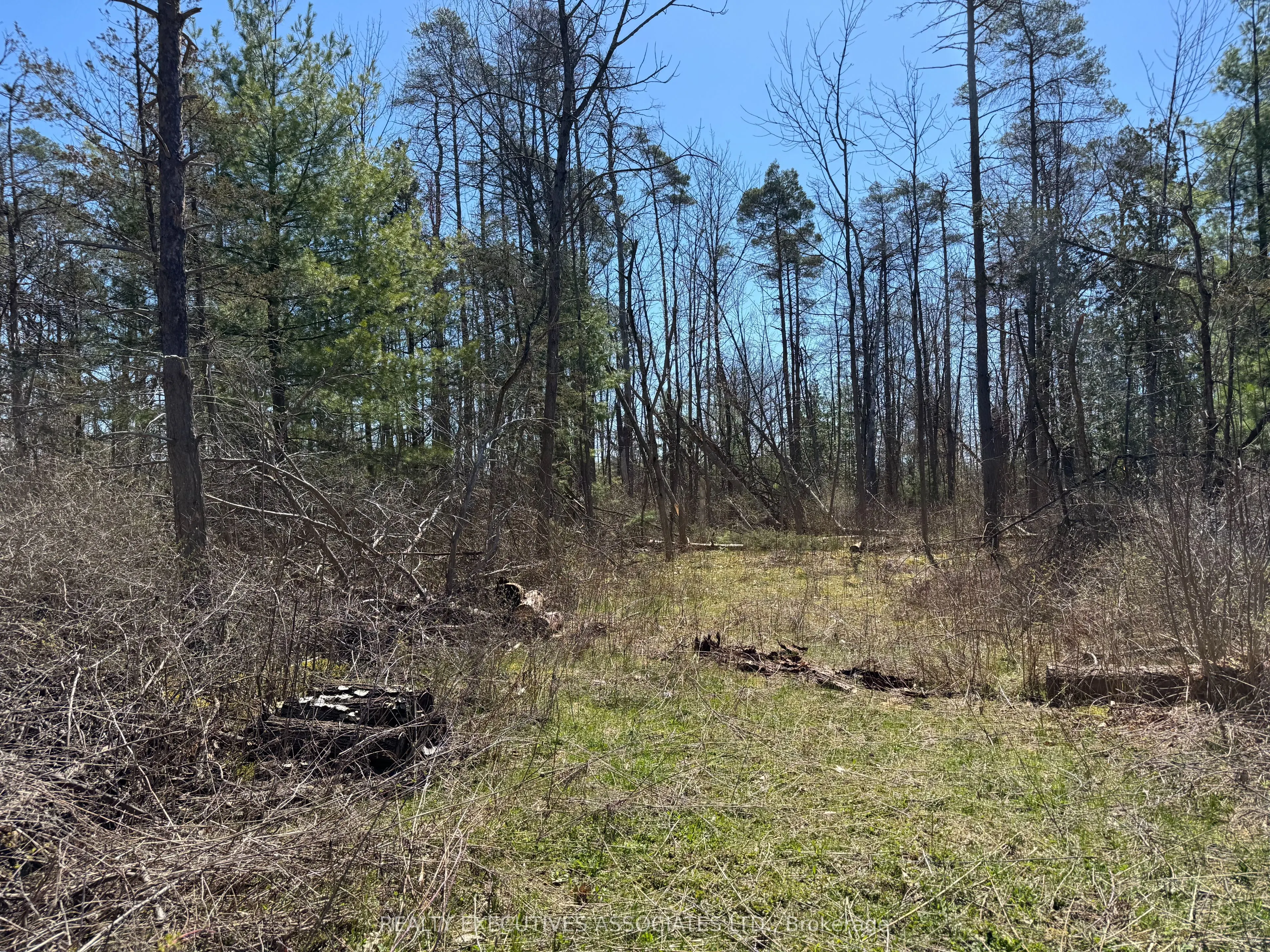 6192 County Rd 50