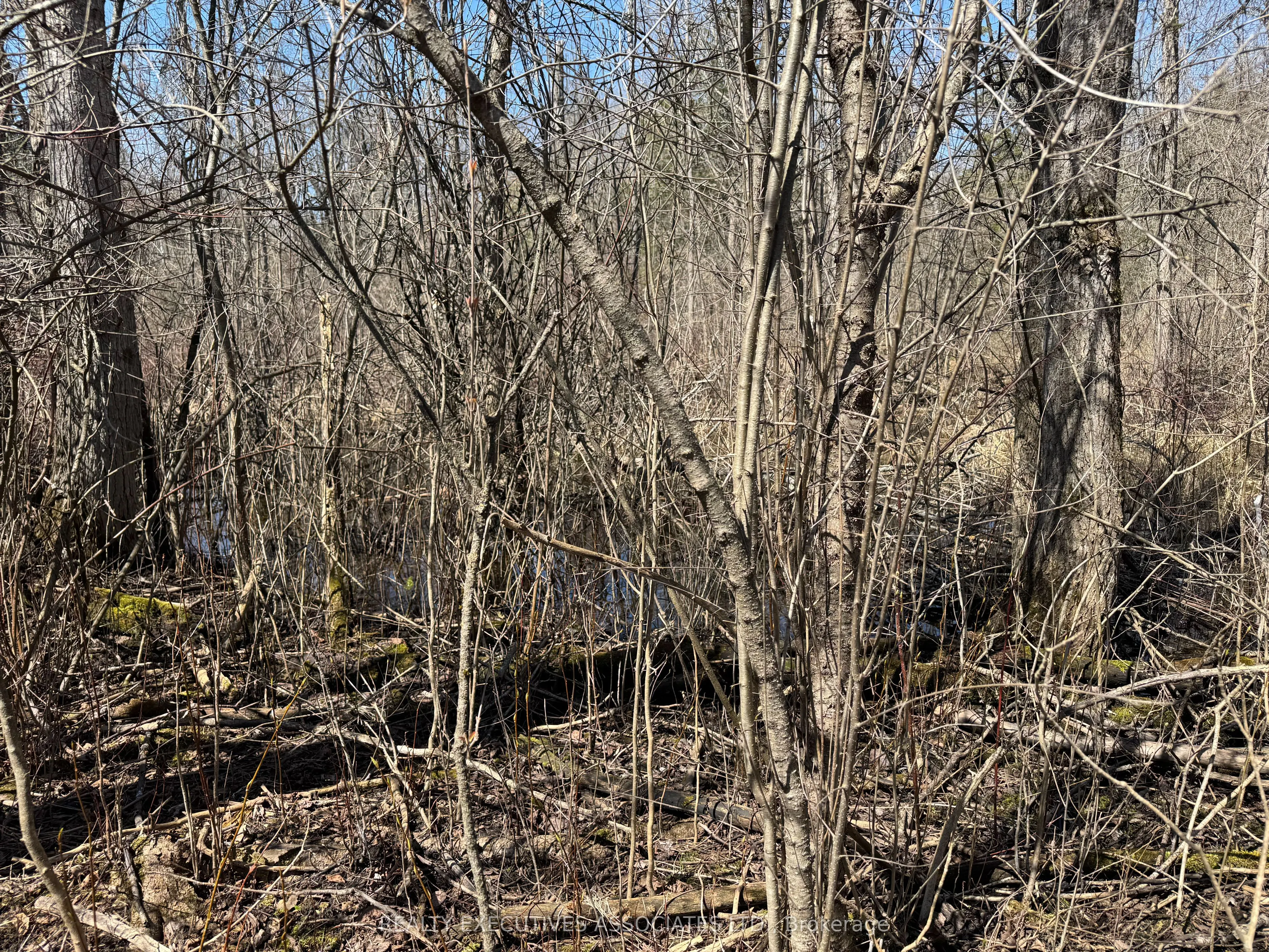 6192 County Rd 50