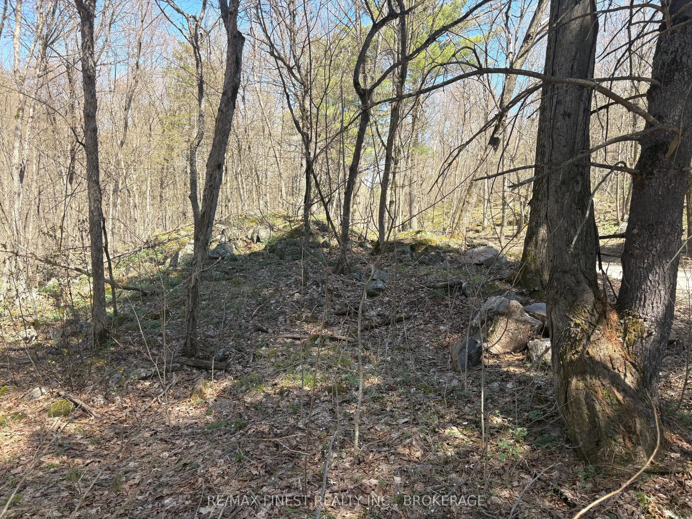 Lot 1 Sweetfern Lane