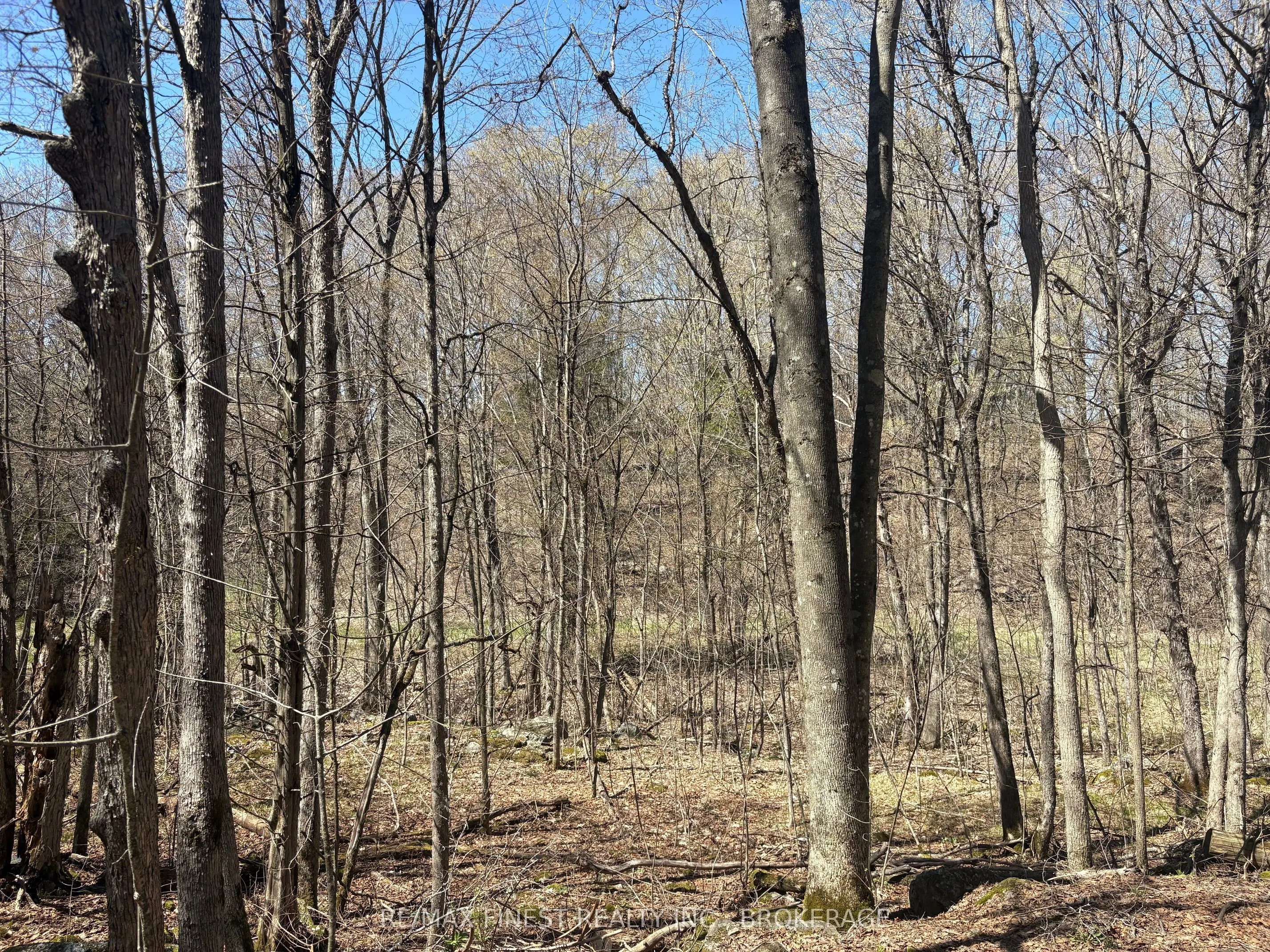 Lot 1 Sweetfern Lane