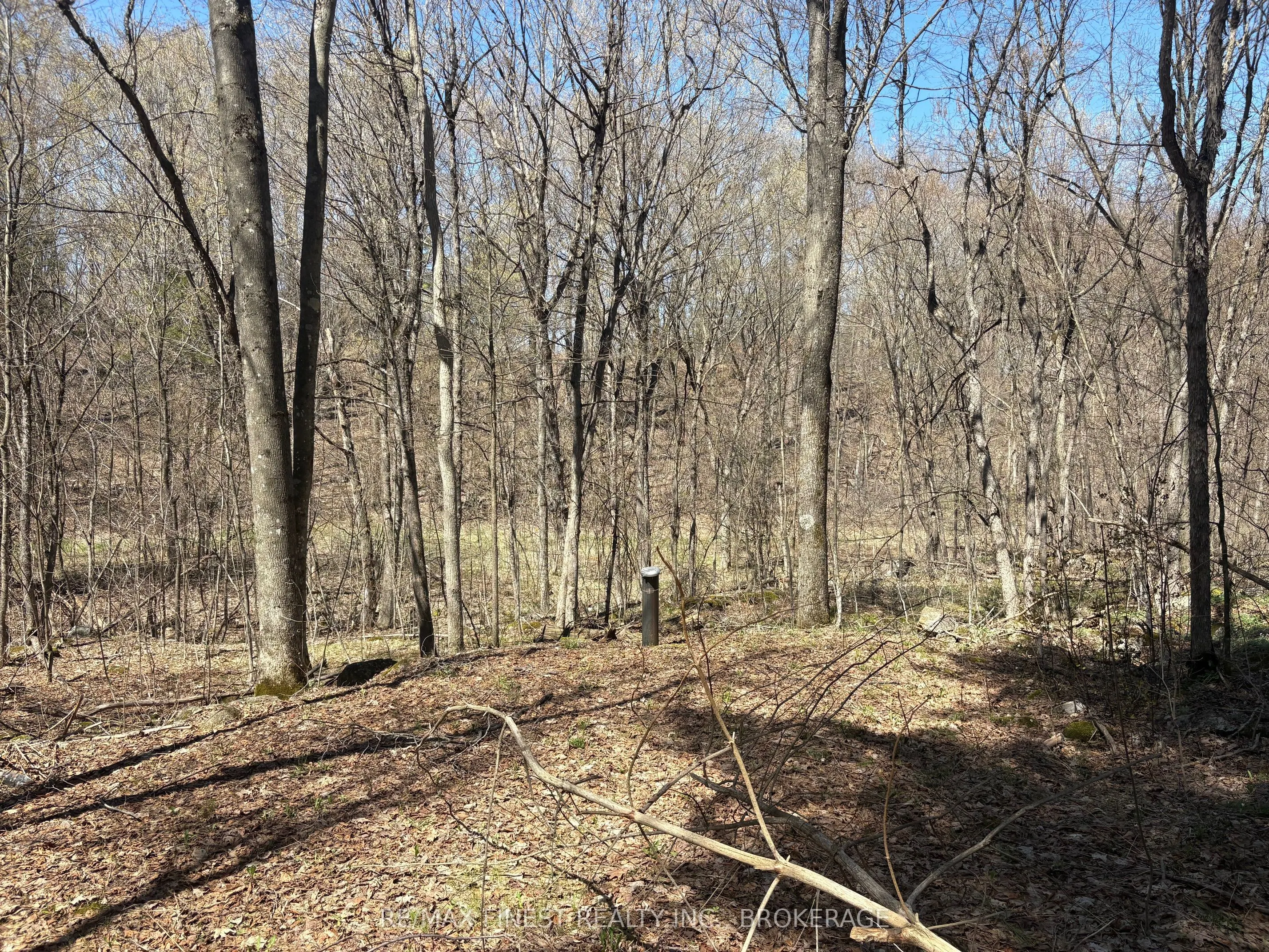 Lot 1 Sweetfern Lane