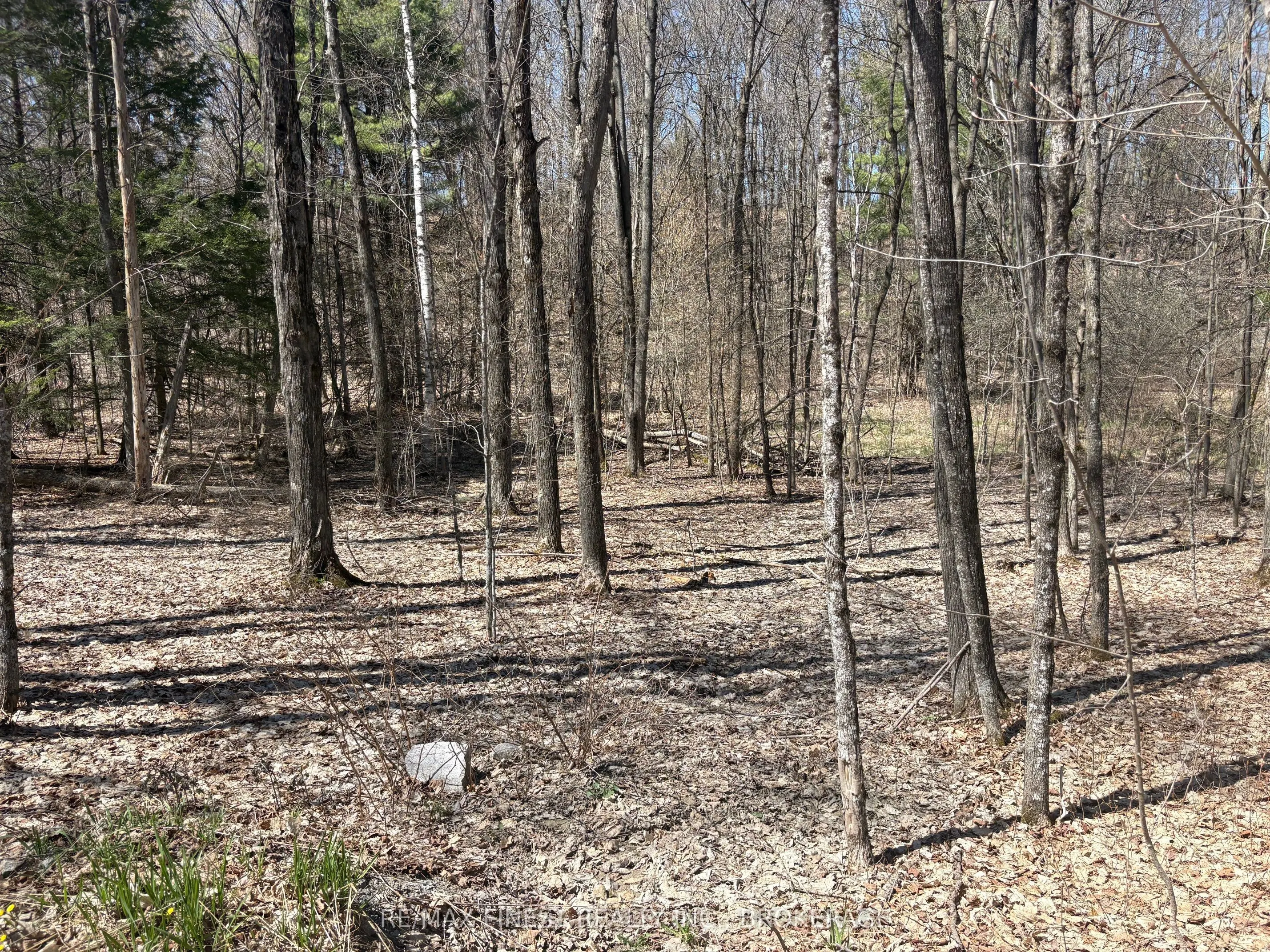 Lot 2 Sweetfern Lane