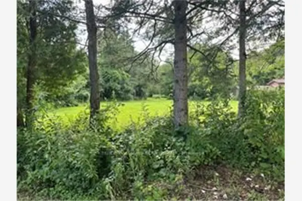 1161 Edgewood Road