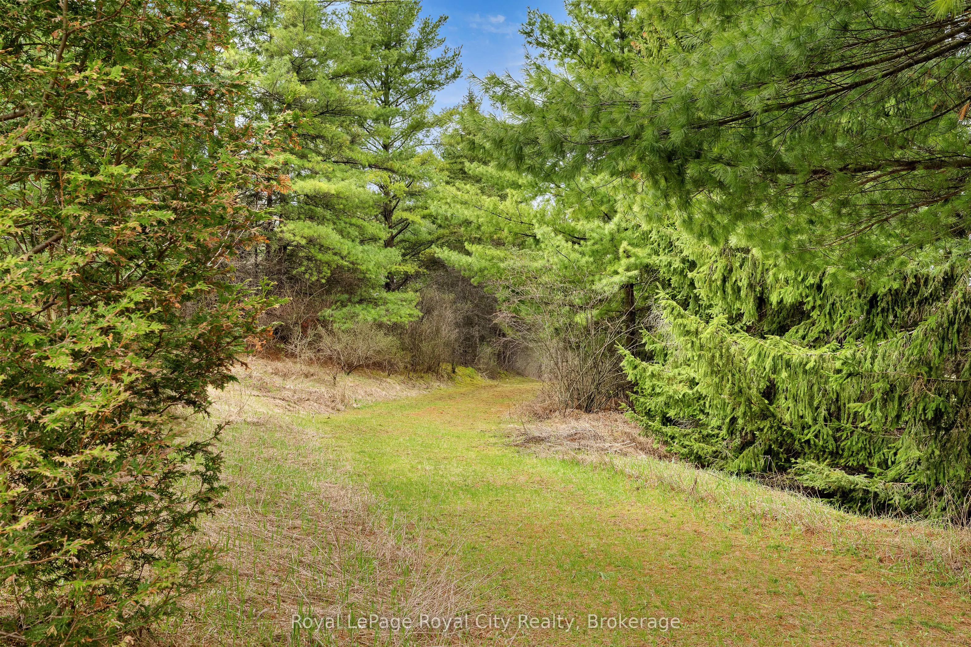 4620 20 Side Road N