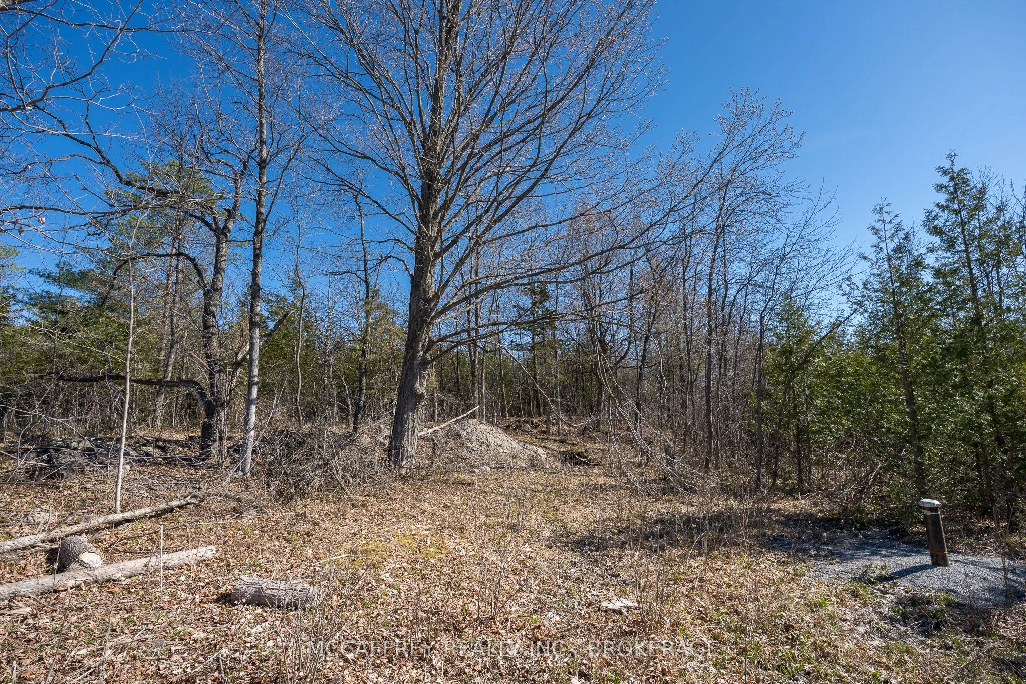 00 McCutcheon Road