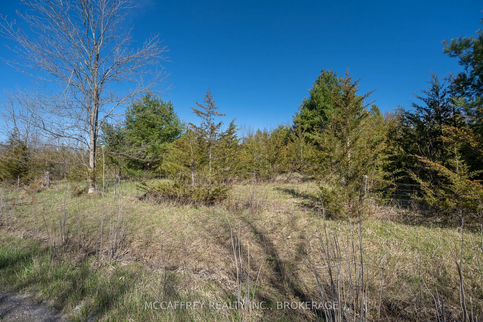 00 McCutcheon Road
