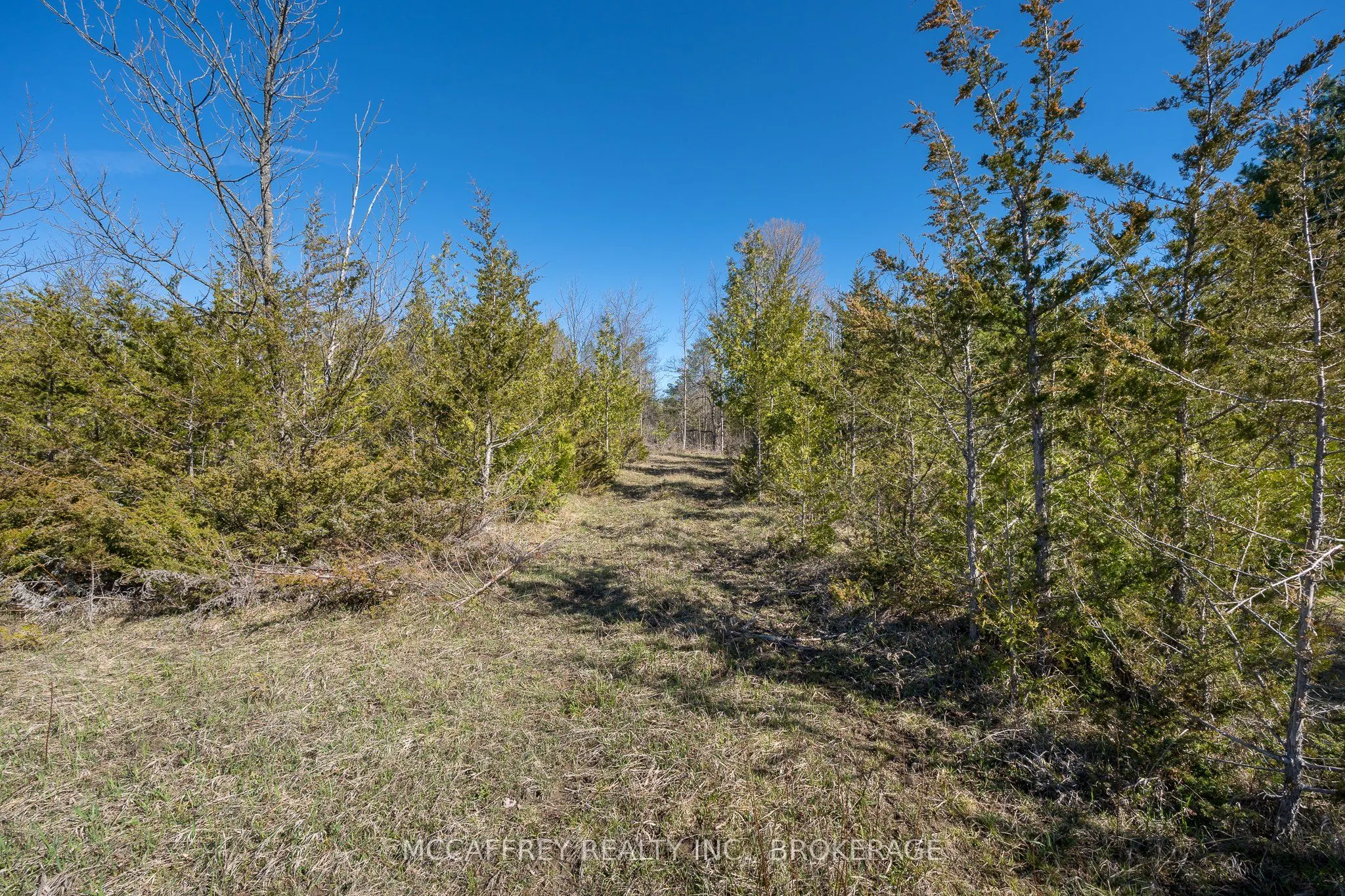 00 McCutcheon Road