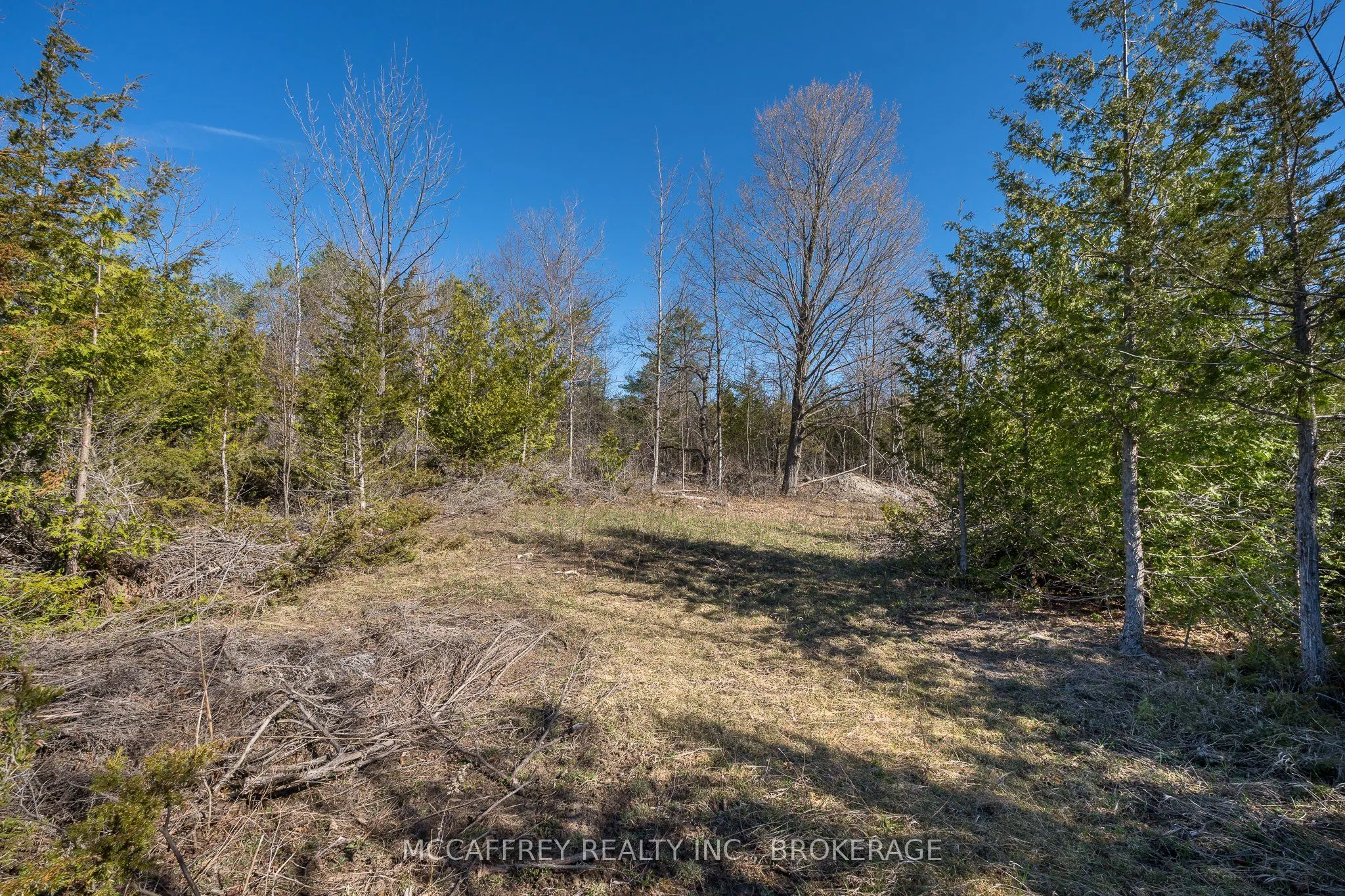 00 McCutcheon Road