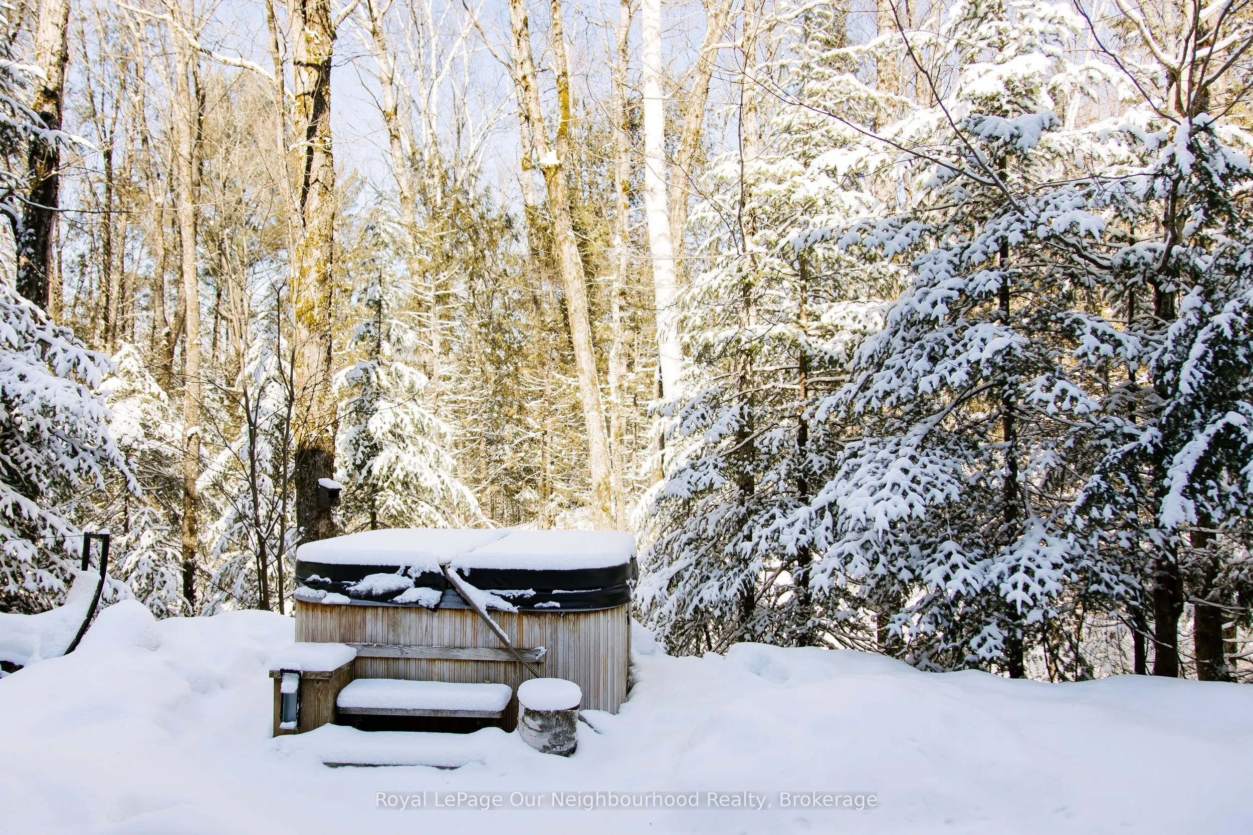1042 Ski Ridge Trail