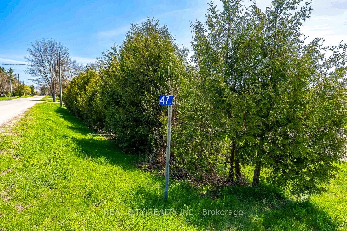 47 River Road