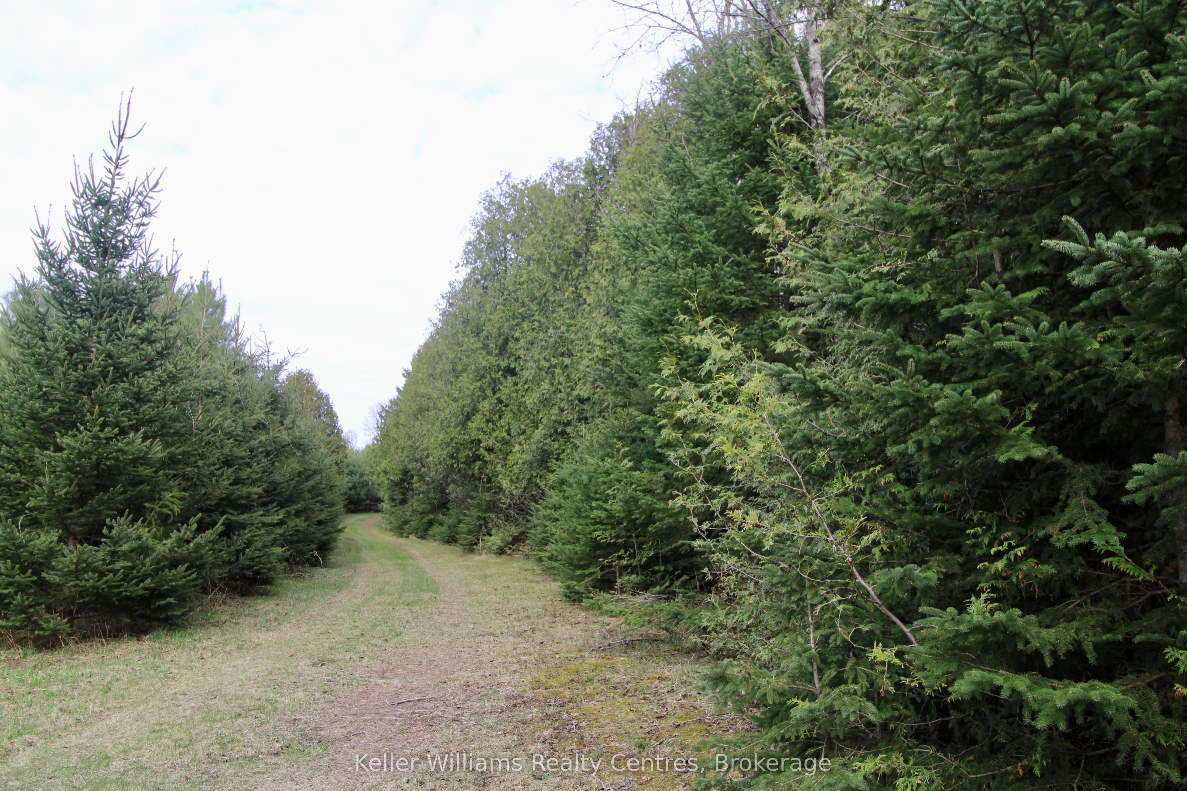 Part of Lt 59 Concession 2 SDR