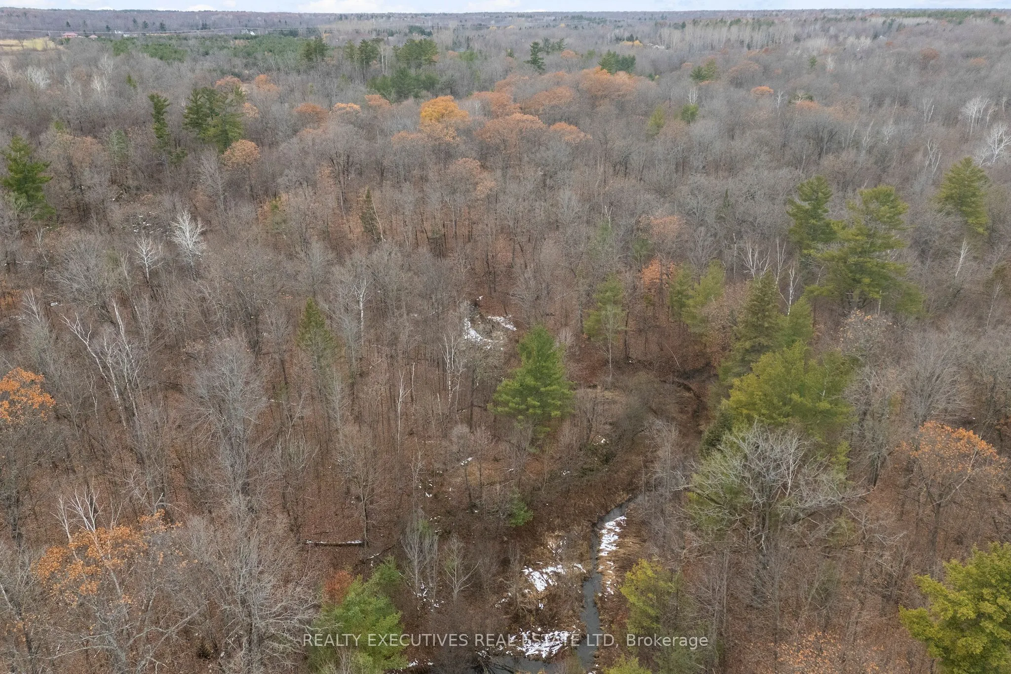 2865 Ridgetop Road