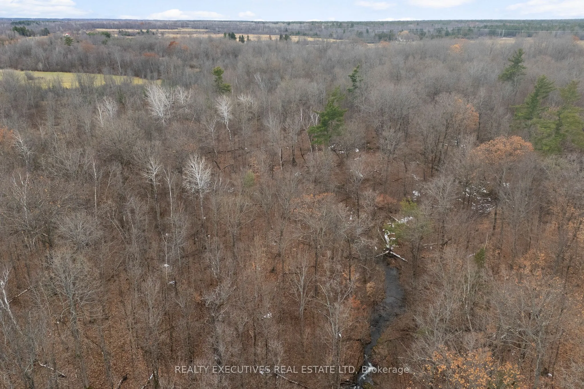 2865 Ridgetop Road
