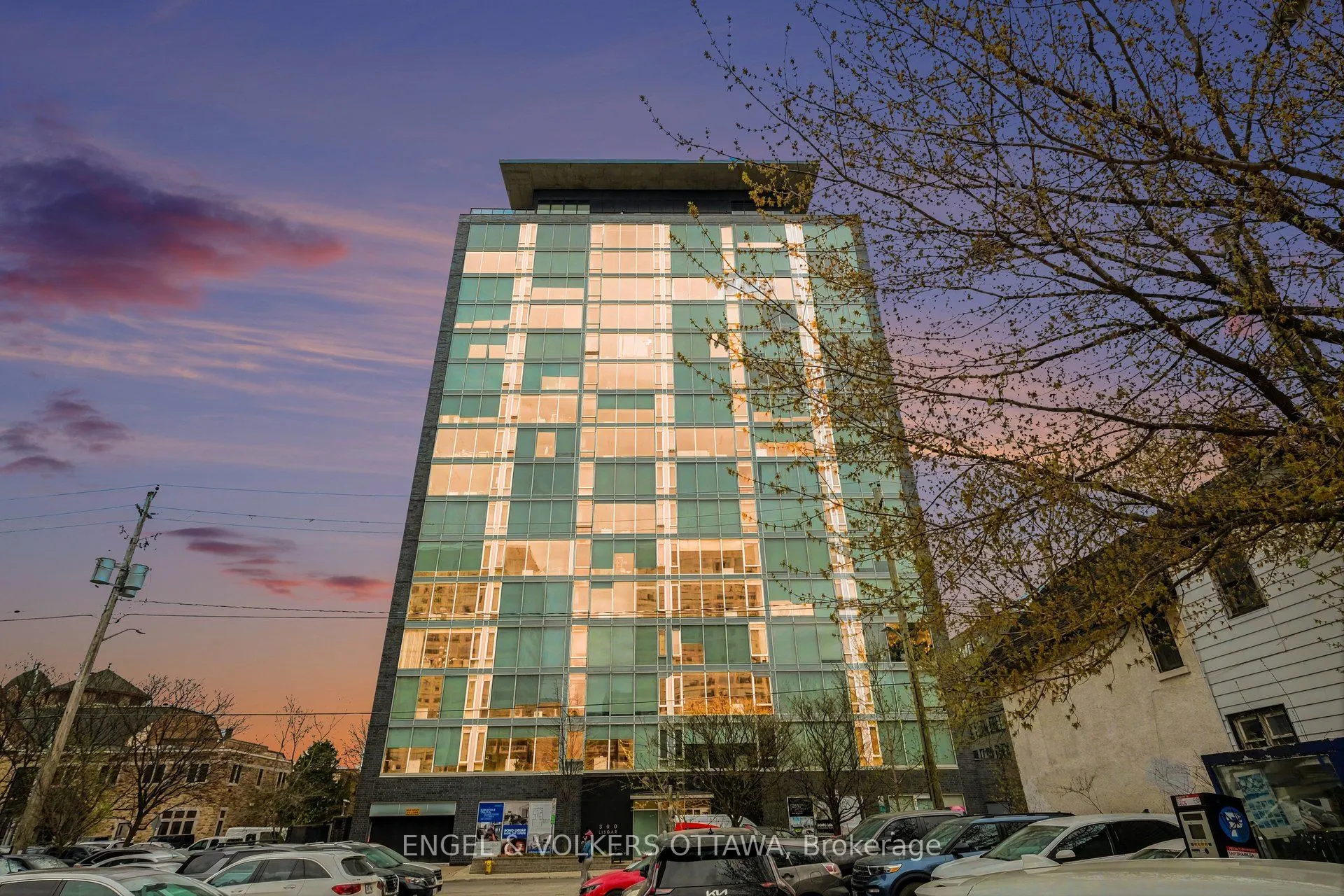 300 Lisgar Street #513