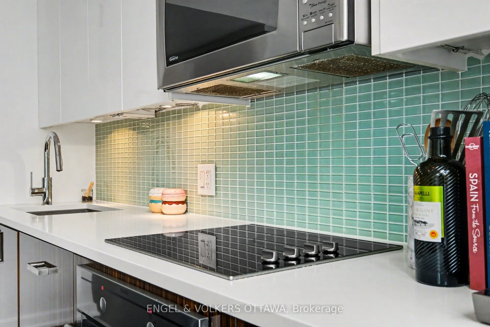 300 Lisgar Street #513