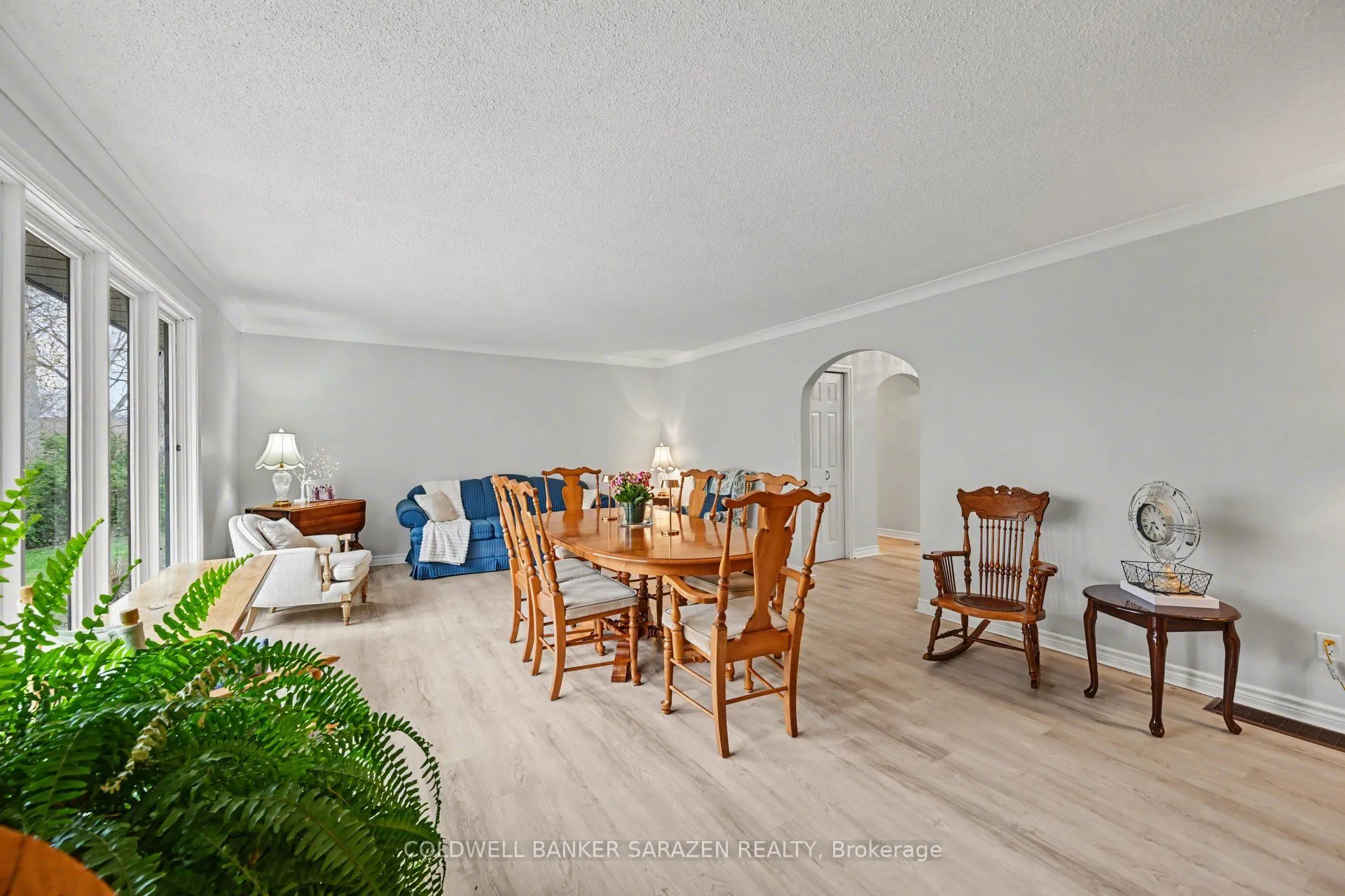 31 Daniel Street S