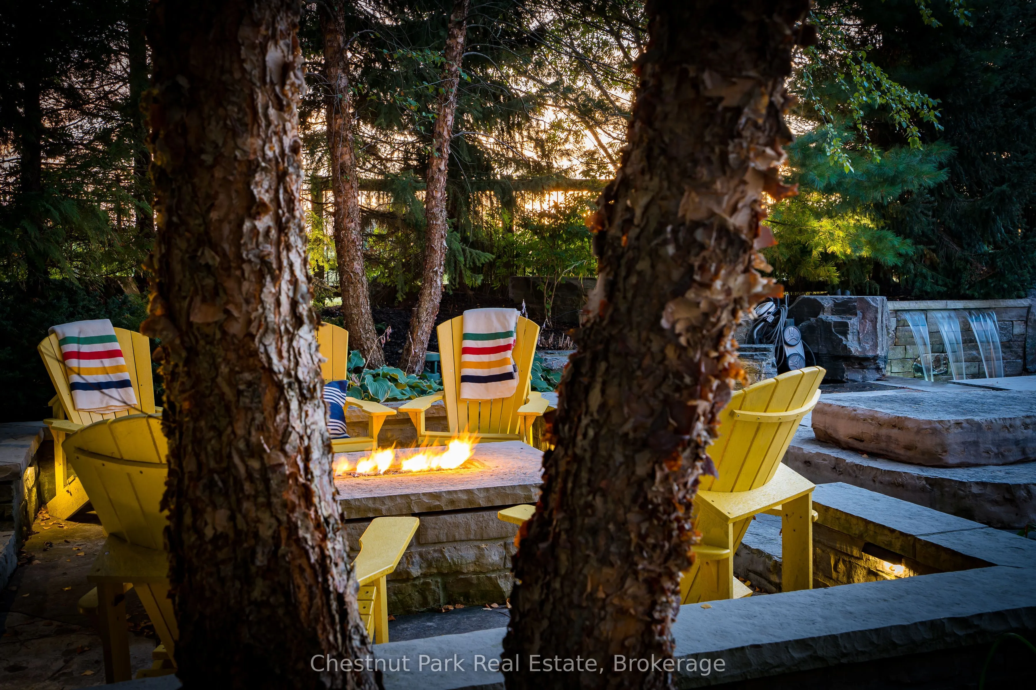 120 TIMBER LEIF Ridge