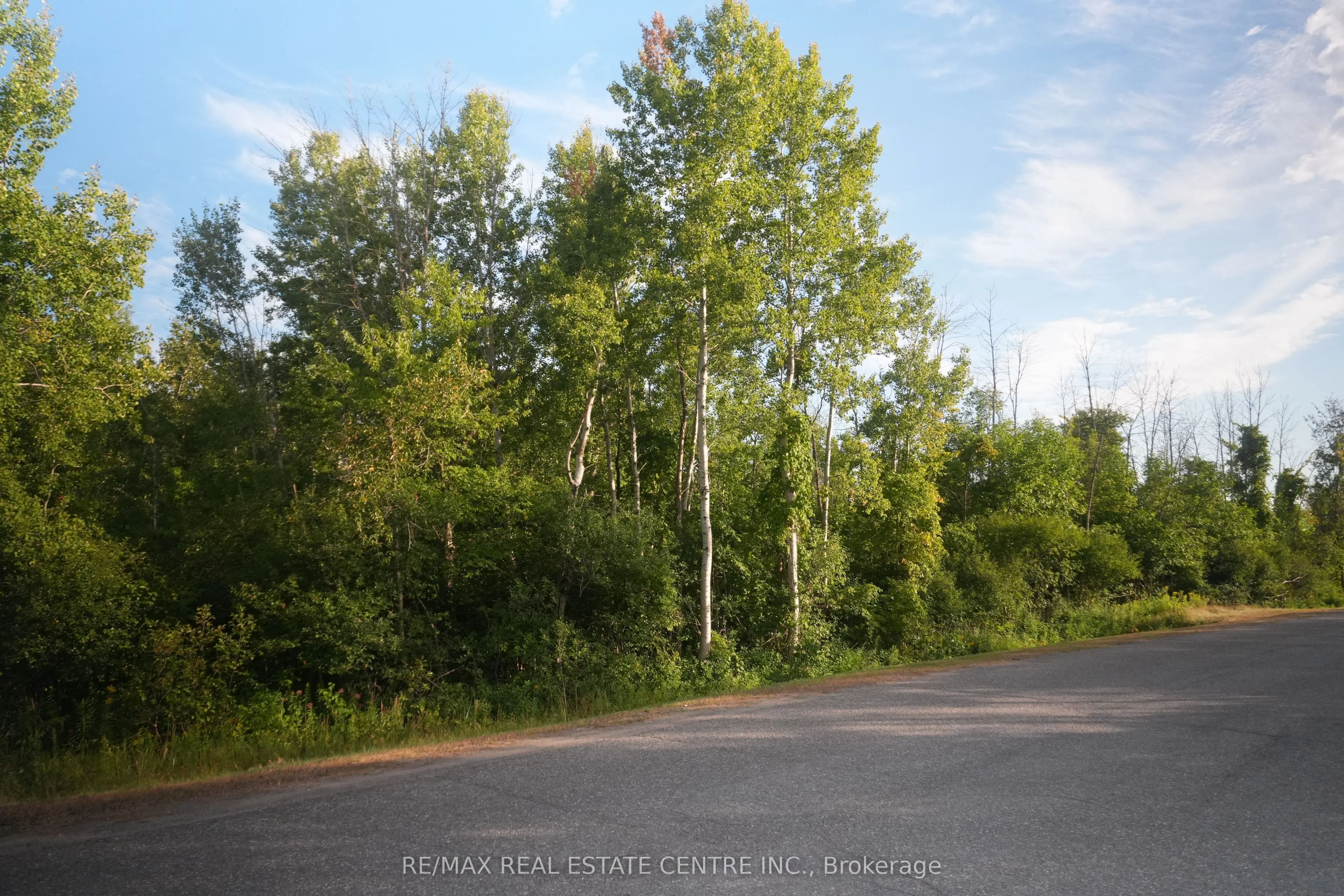 41 CONCESSION 4 Road #41
