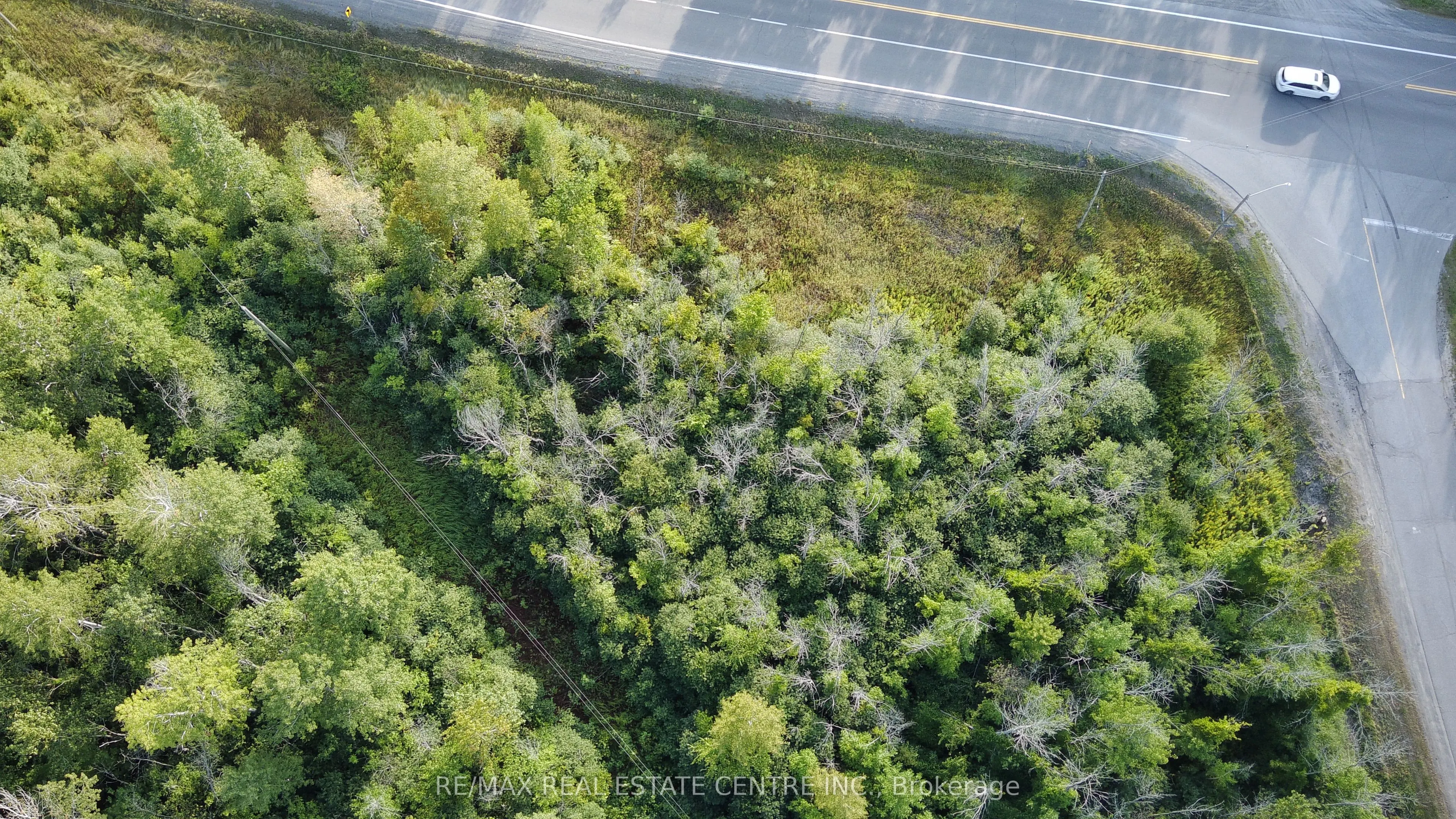 41 CONCESSION 4 Road #41