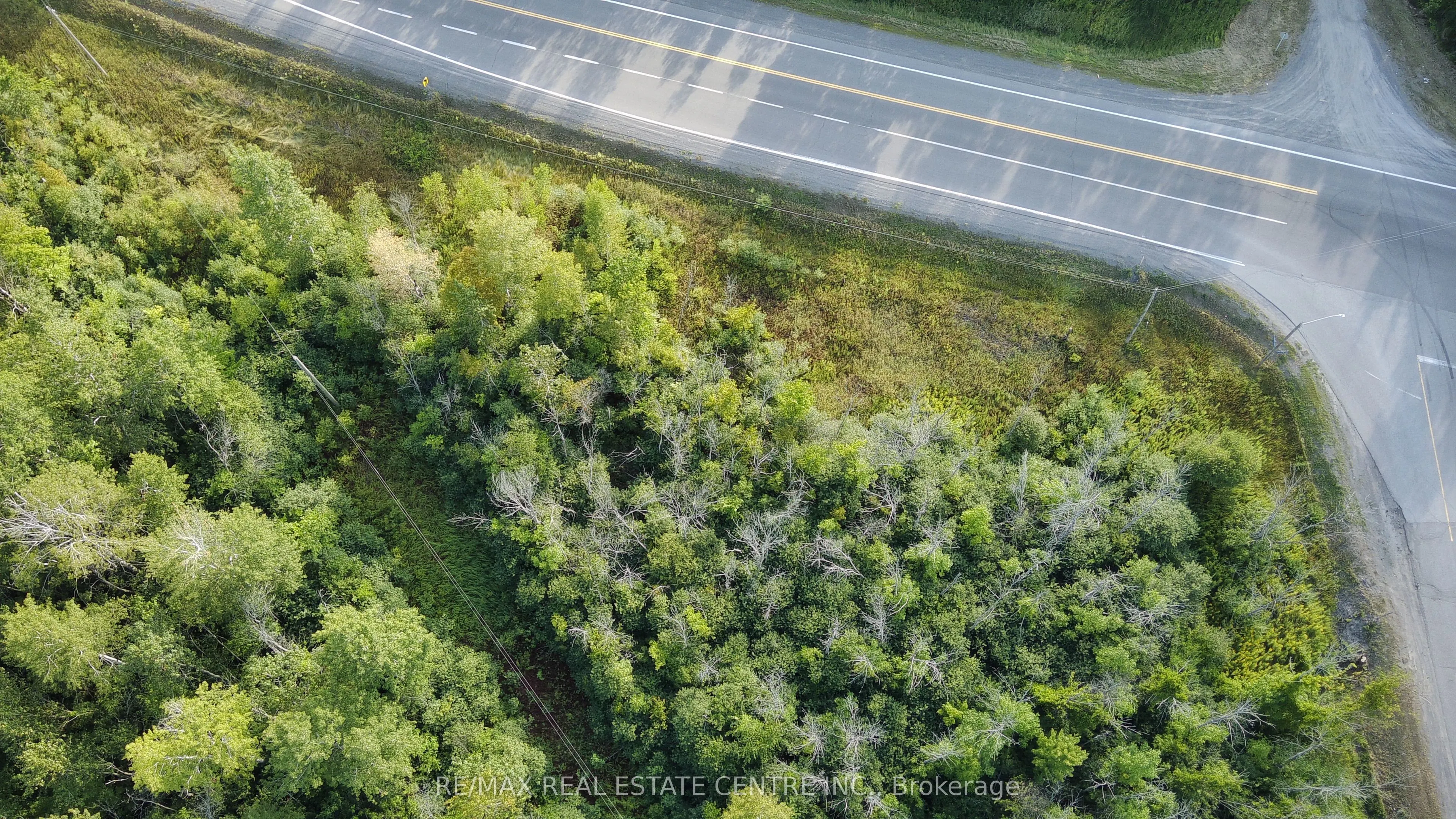 41 CONCESSION 4 Road #41